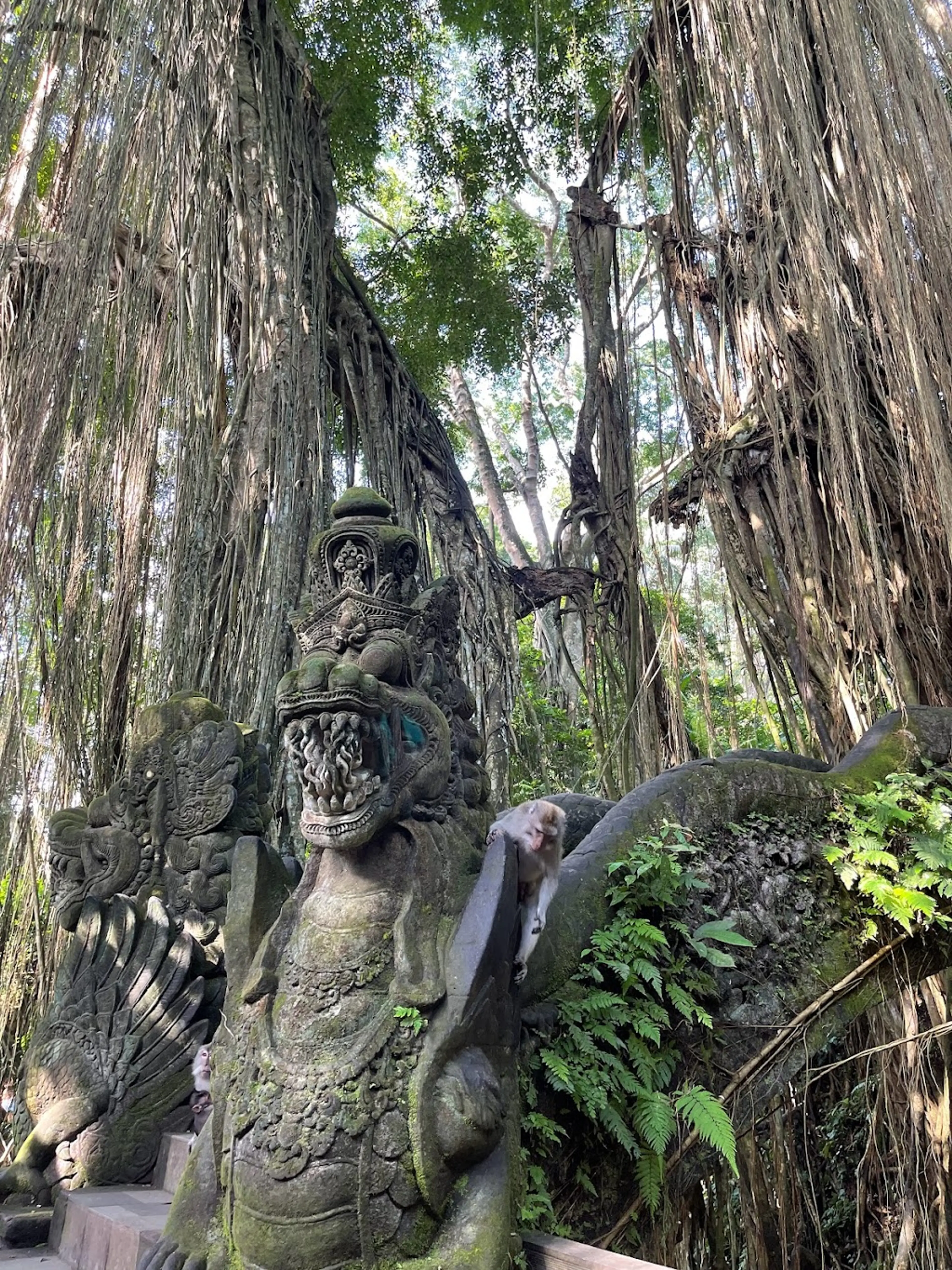 Monkey Forest Sanctuary