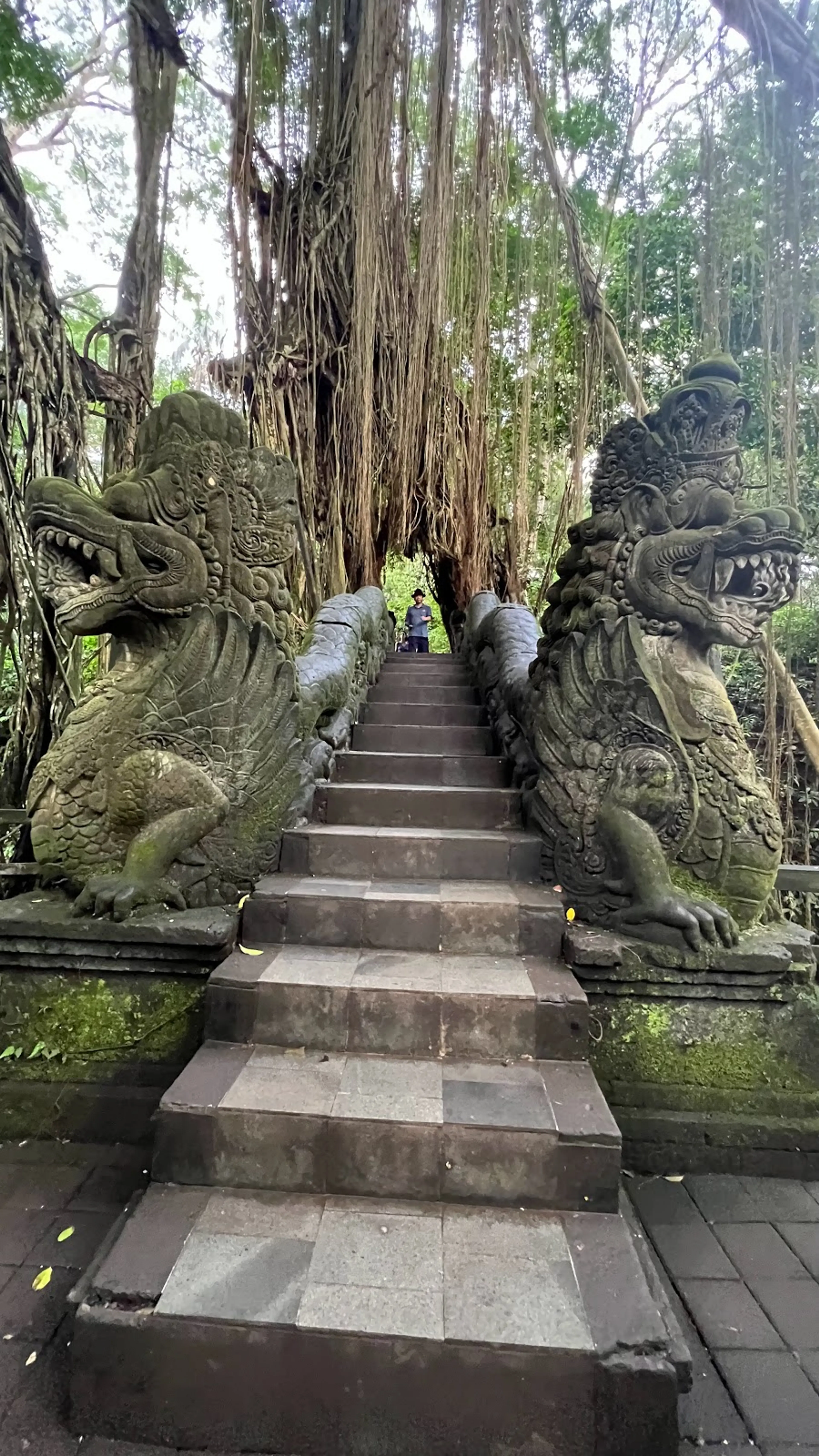 Sacred Monkey Forest