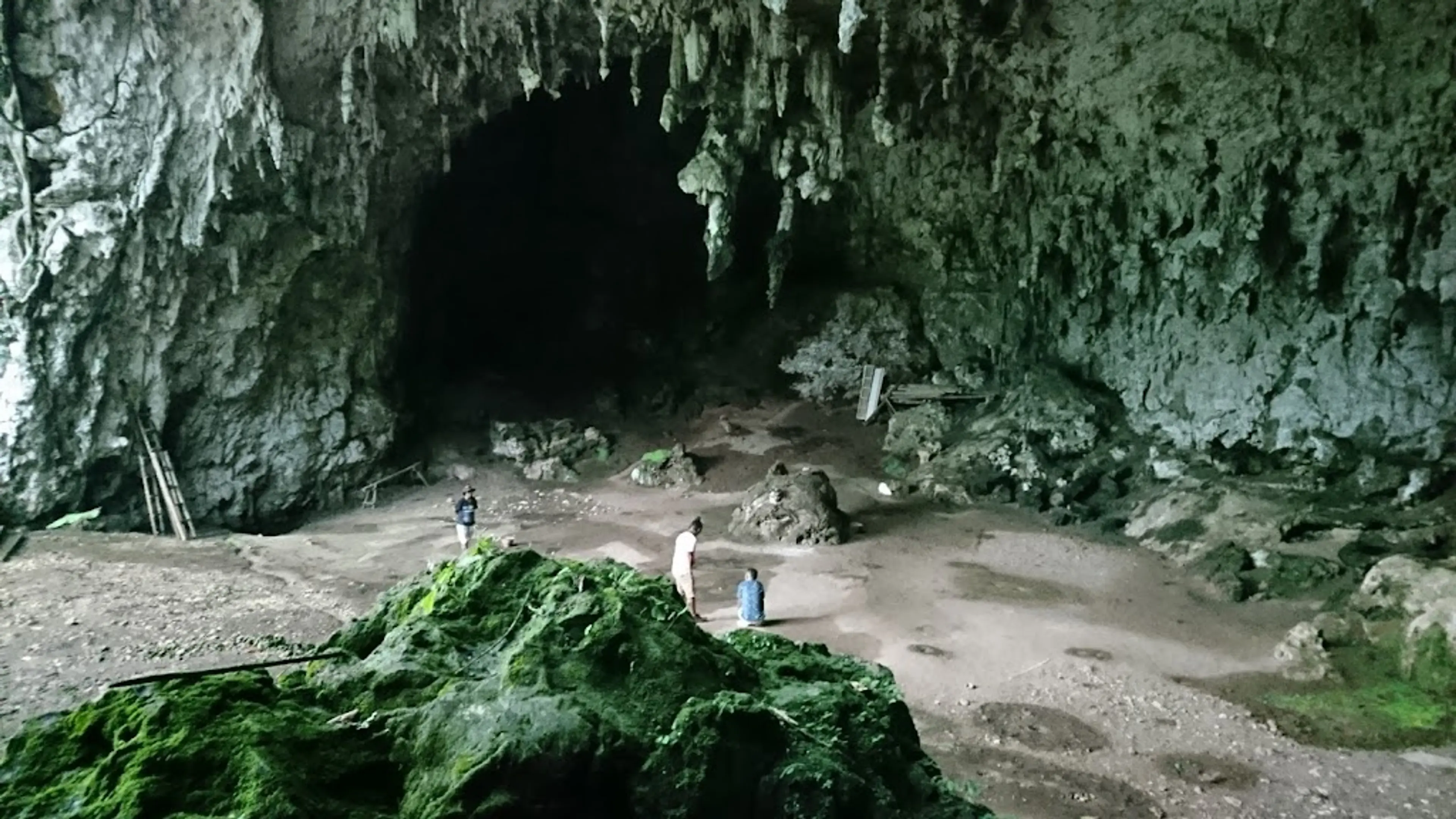 Liang Bua Cave