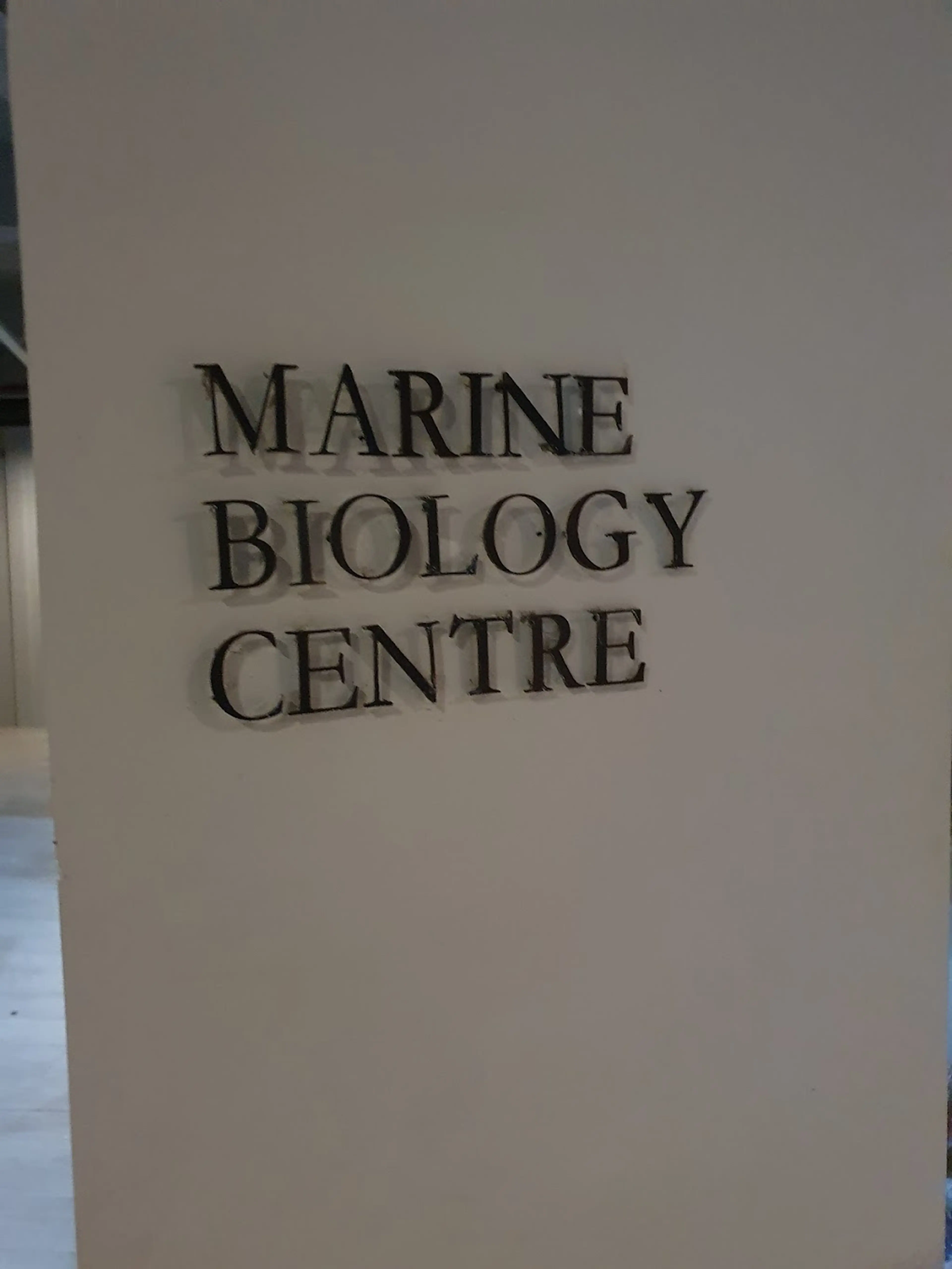 Local museum in Labuan Bajo