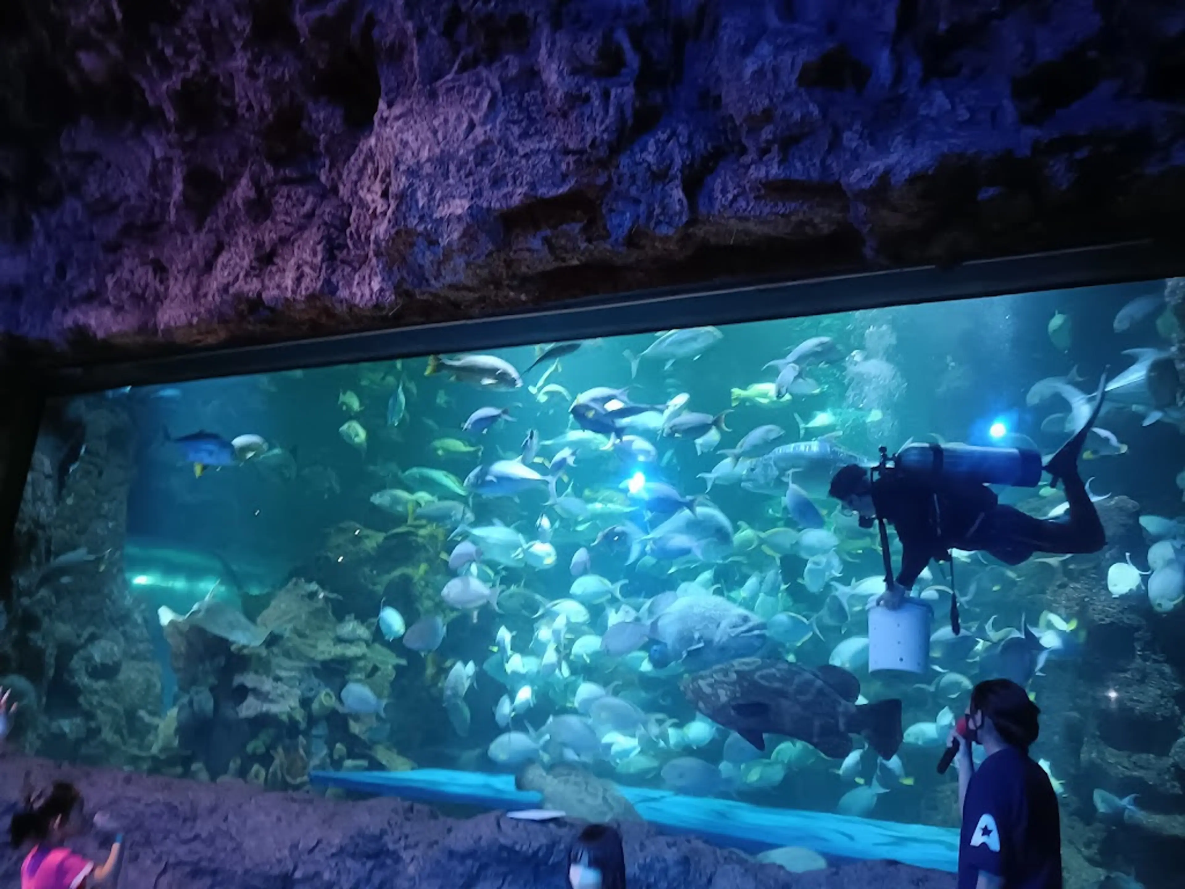 Jakarta SeaWorld