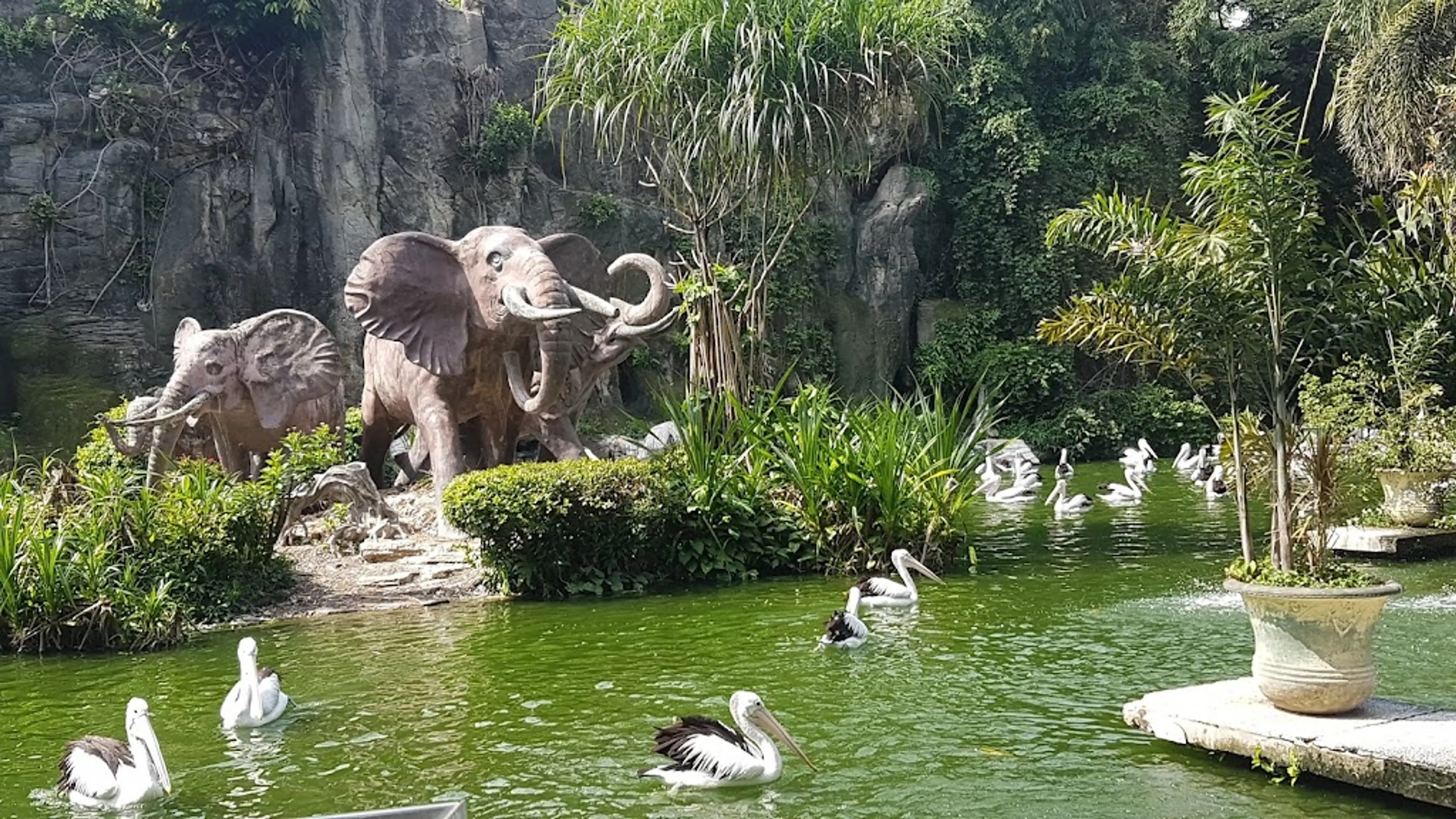 Ragunan Botanical Gardens