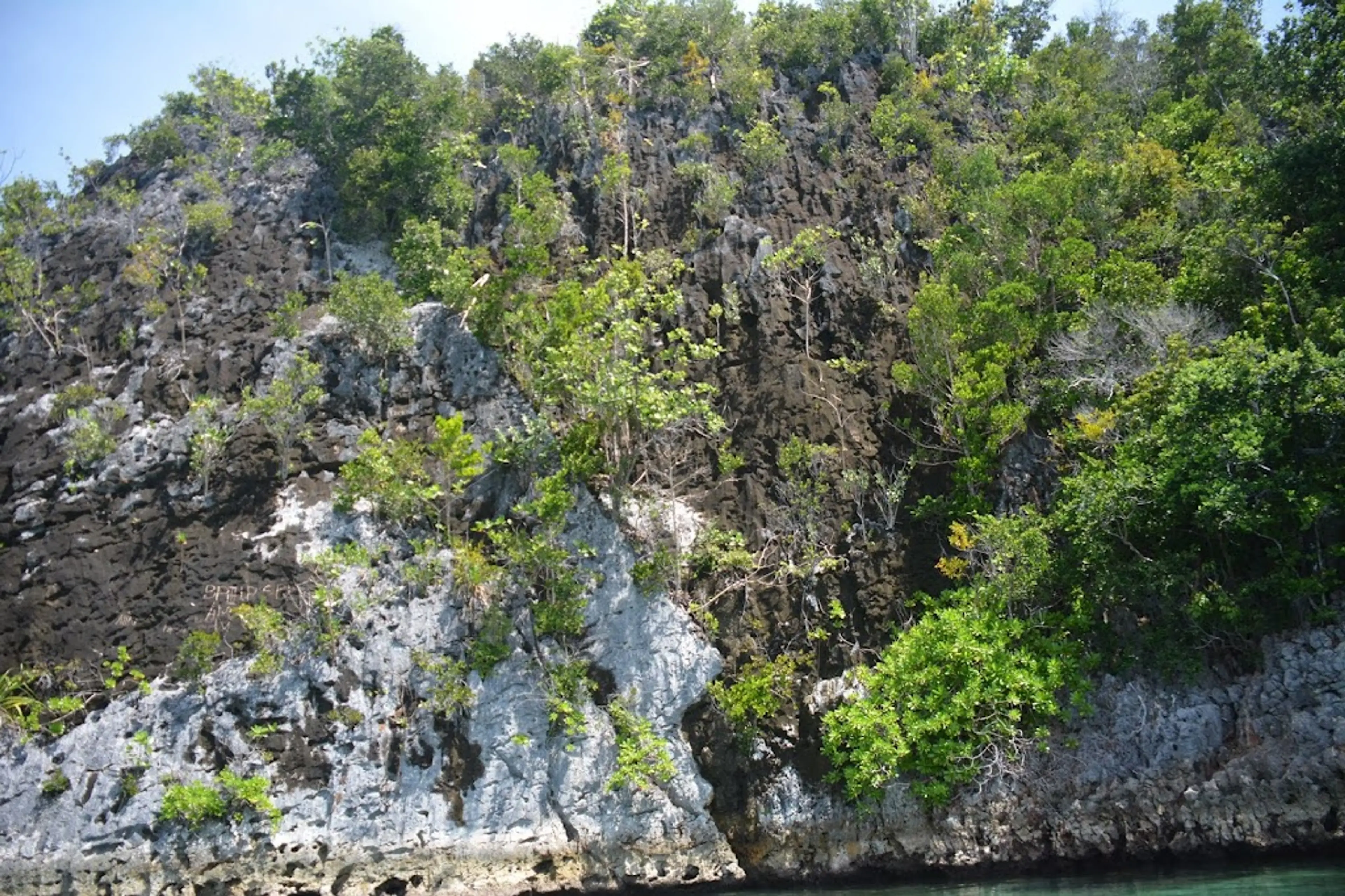 Hiking in the rainforest