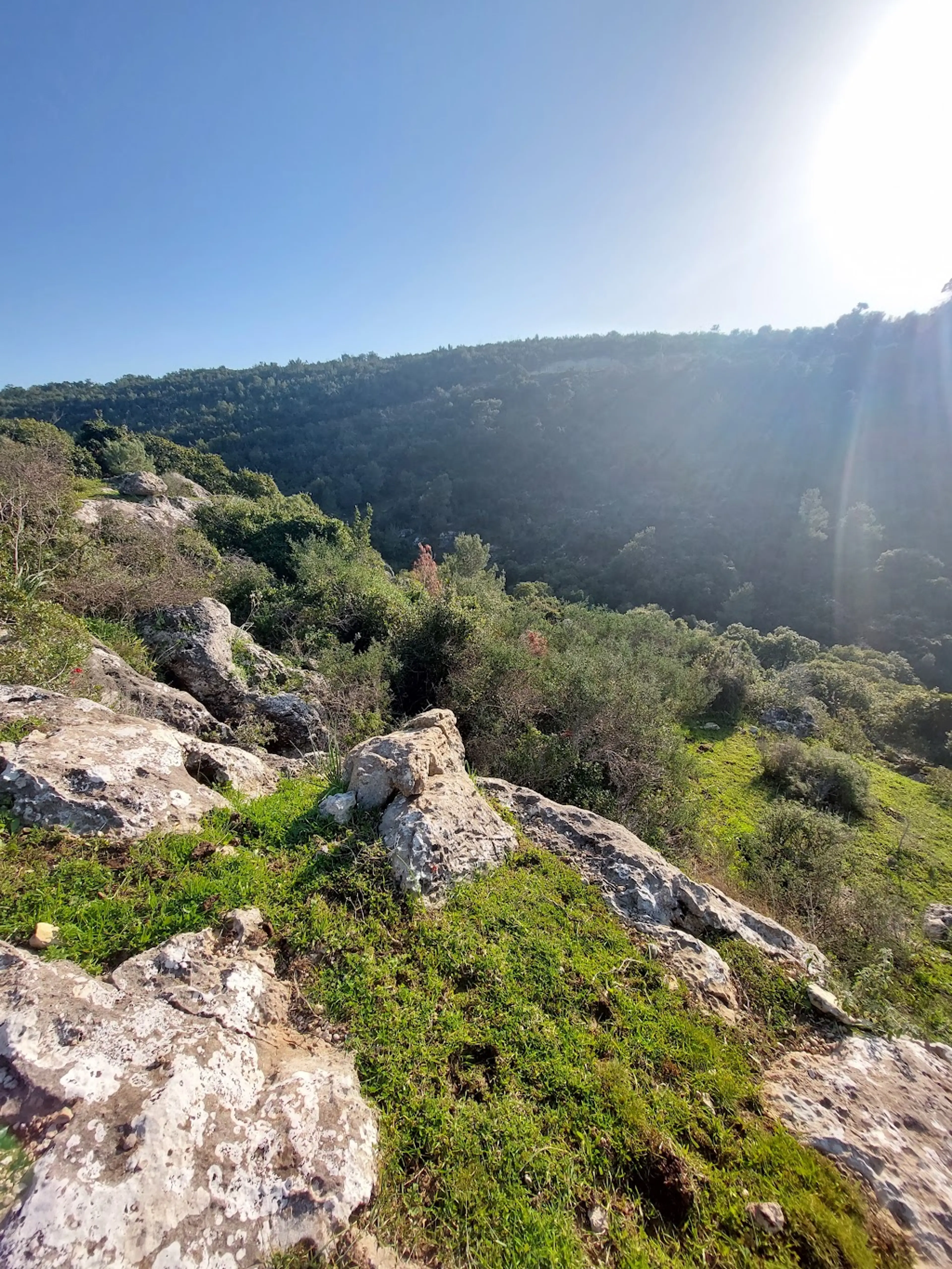 Carmel National Park
