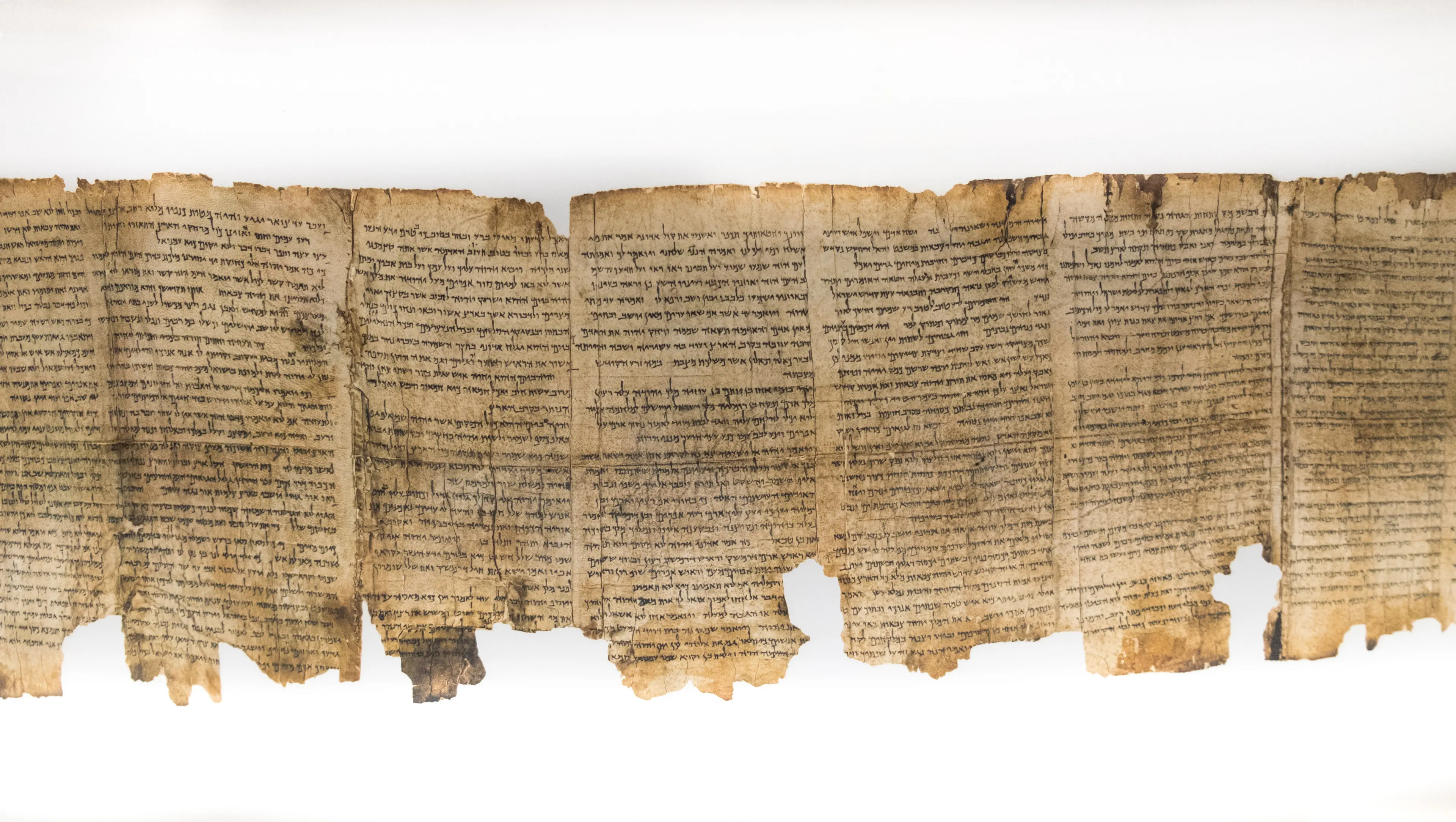 Dead Sea Scrolls