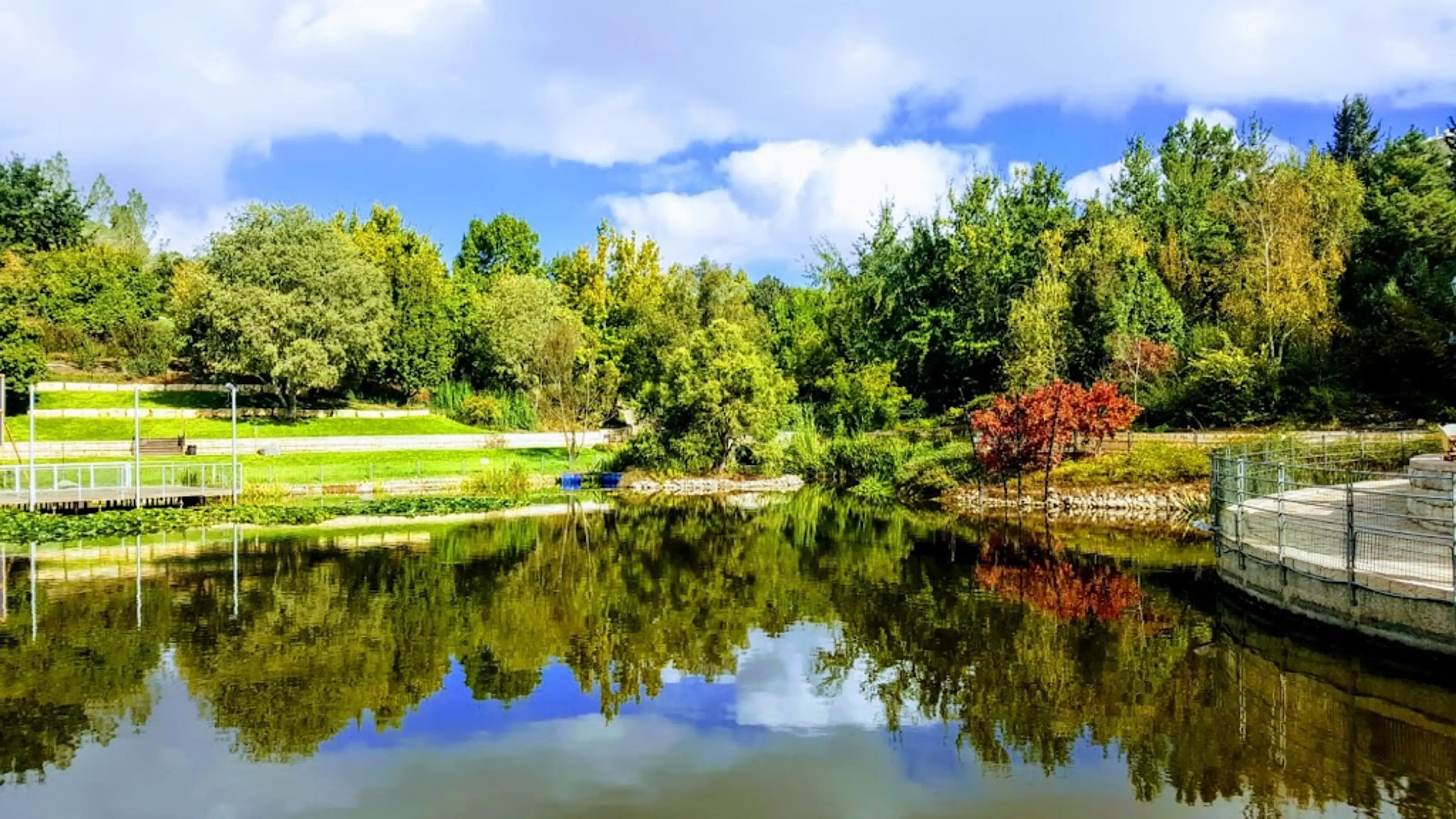 Jerusalem Botanical Gardens