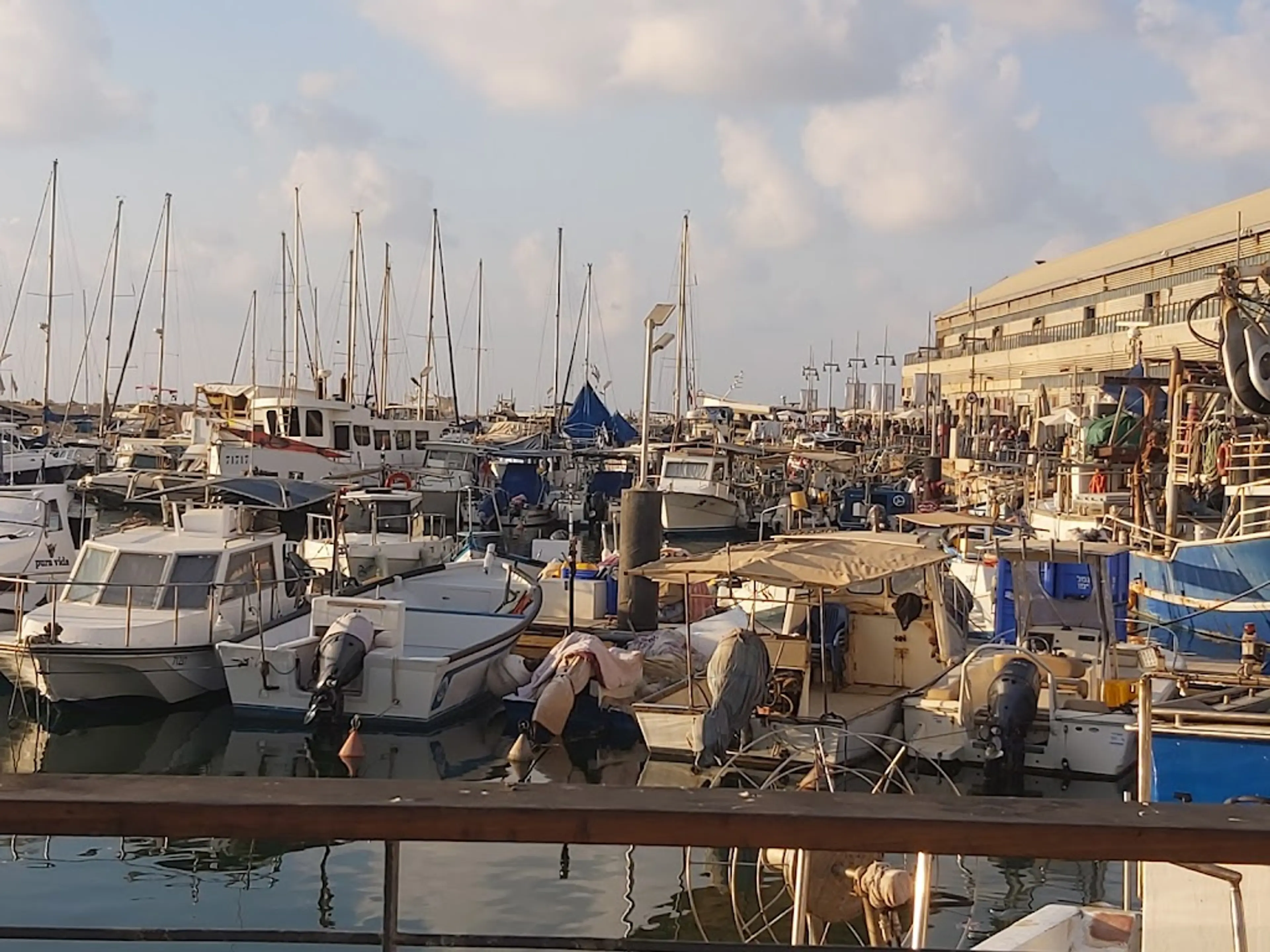 Jaffa Port