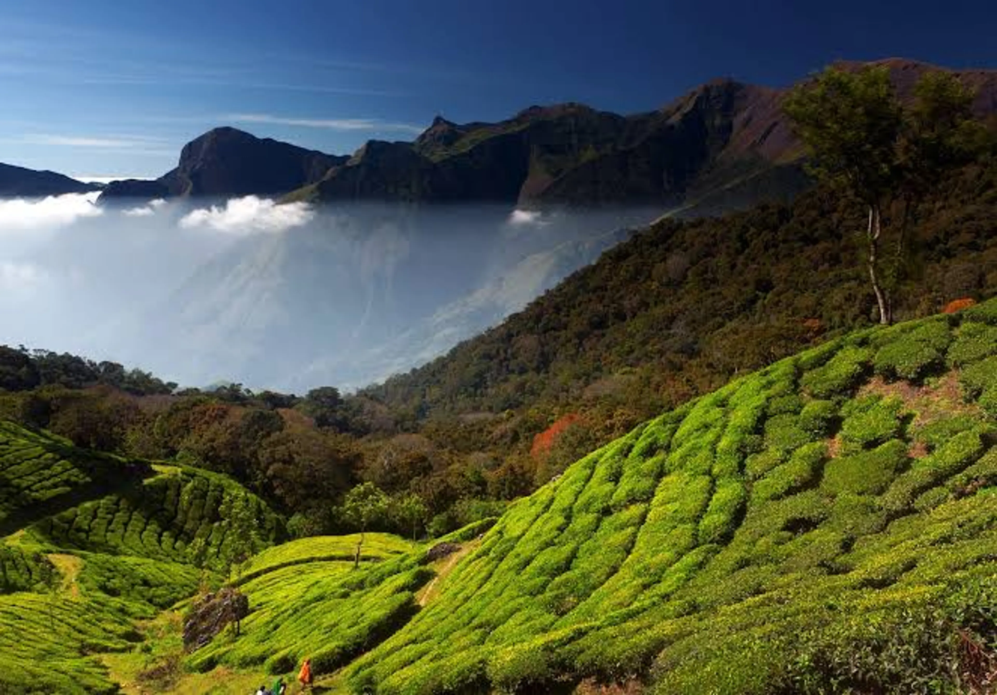 Anamudi Peak