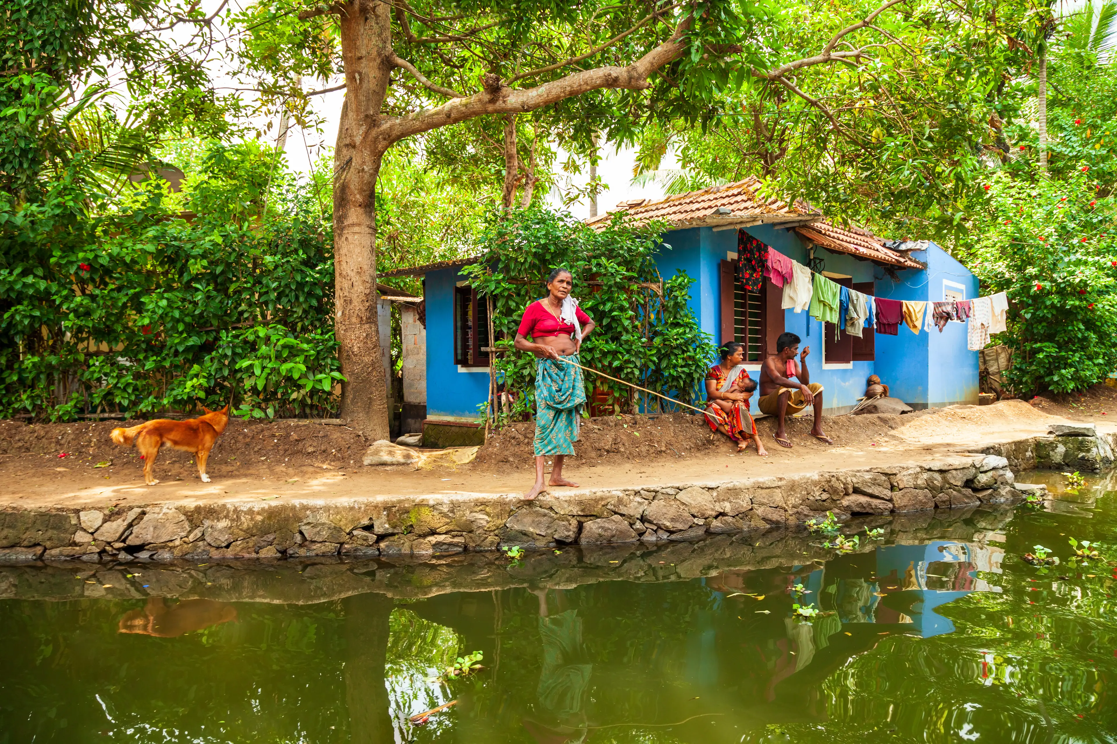 Local villages and paddy fields