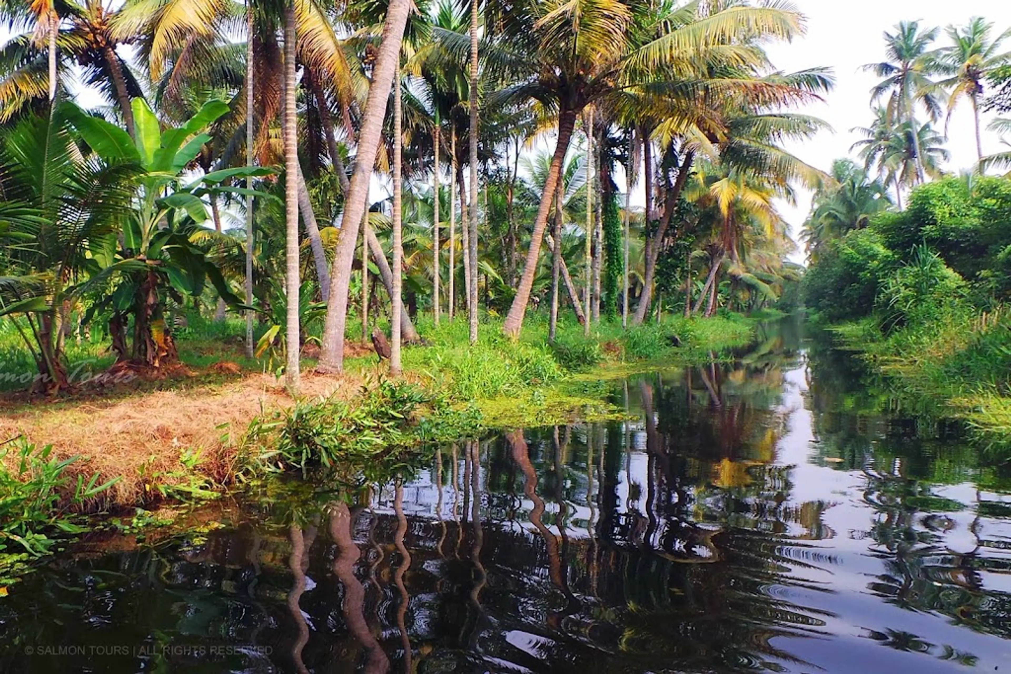 Local villages around the backwaters