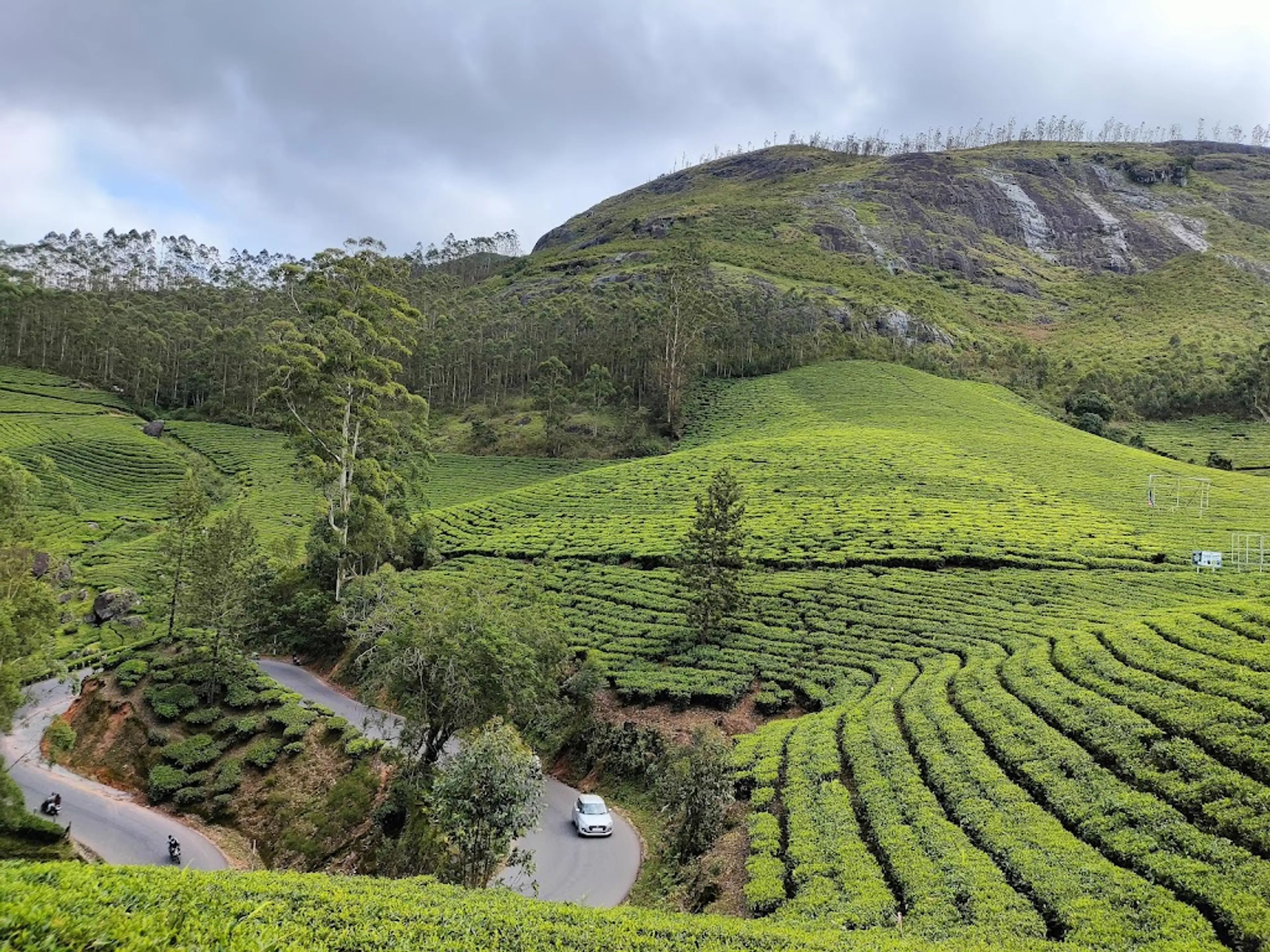 Munnar hills