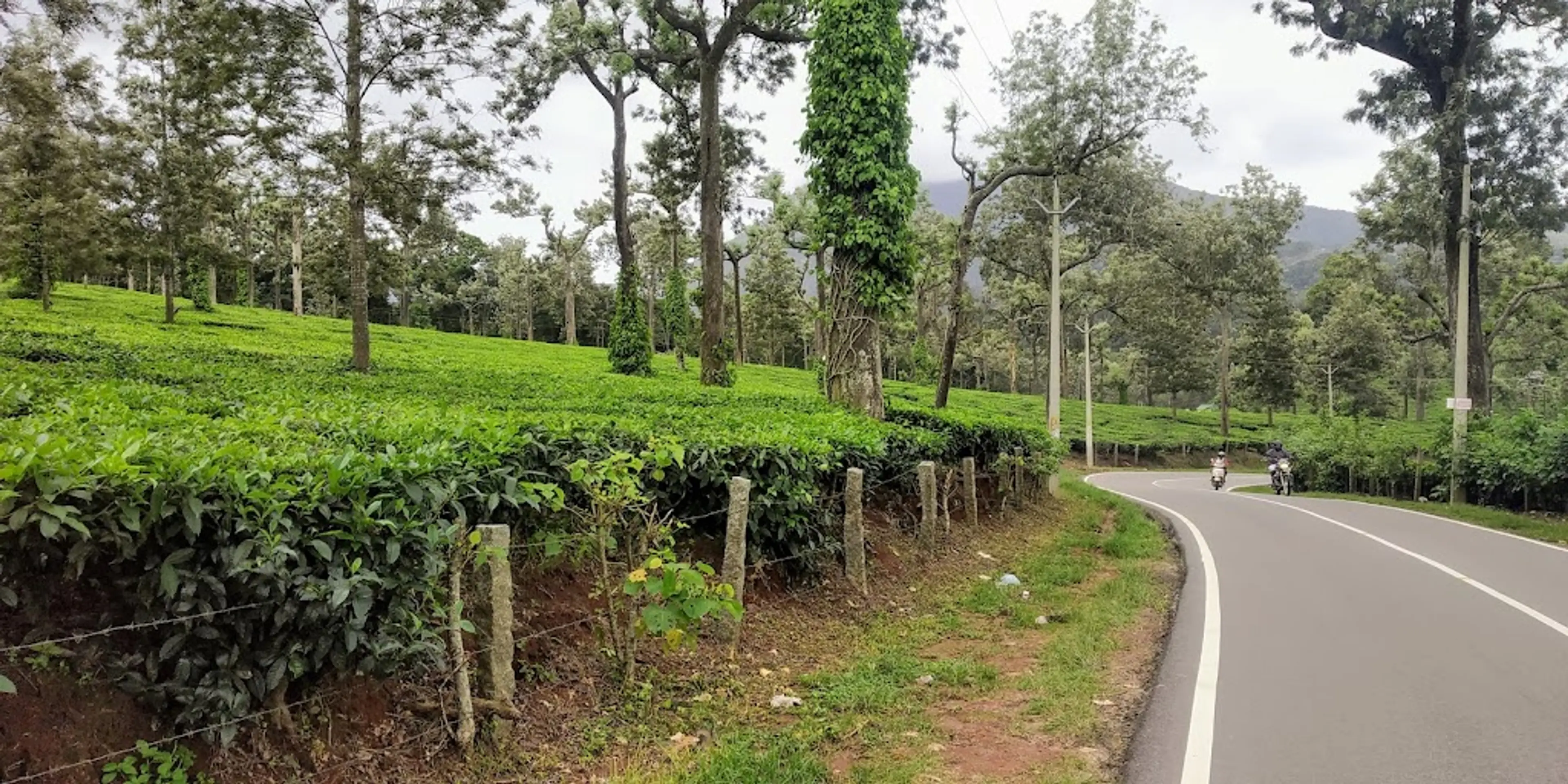 Spice Plantation Tour