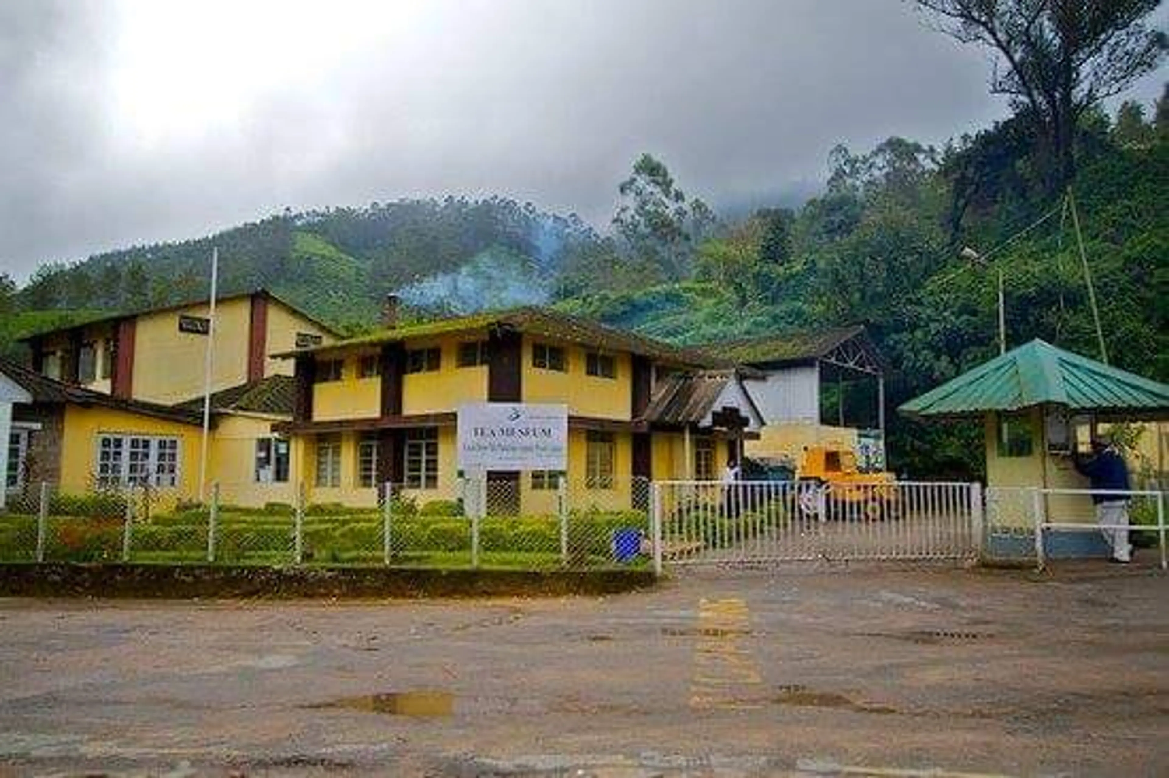 Tea Museum