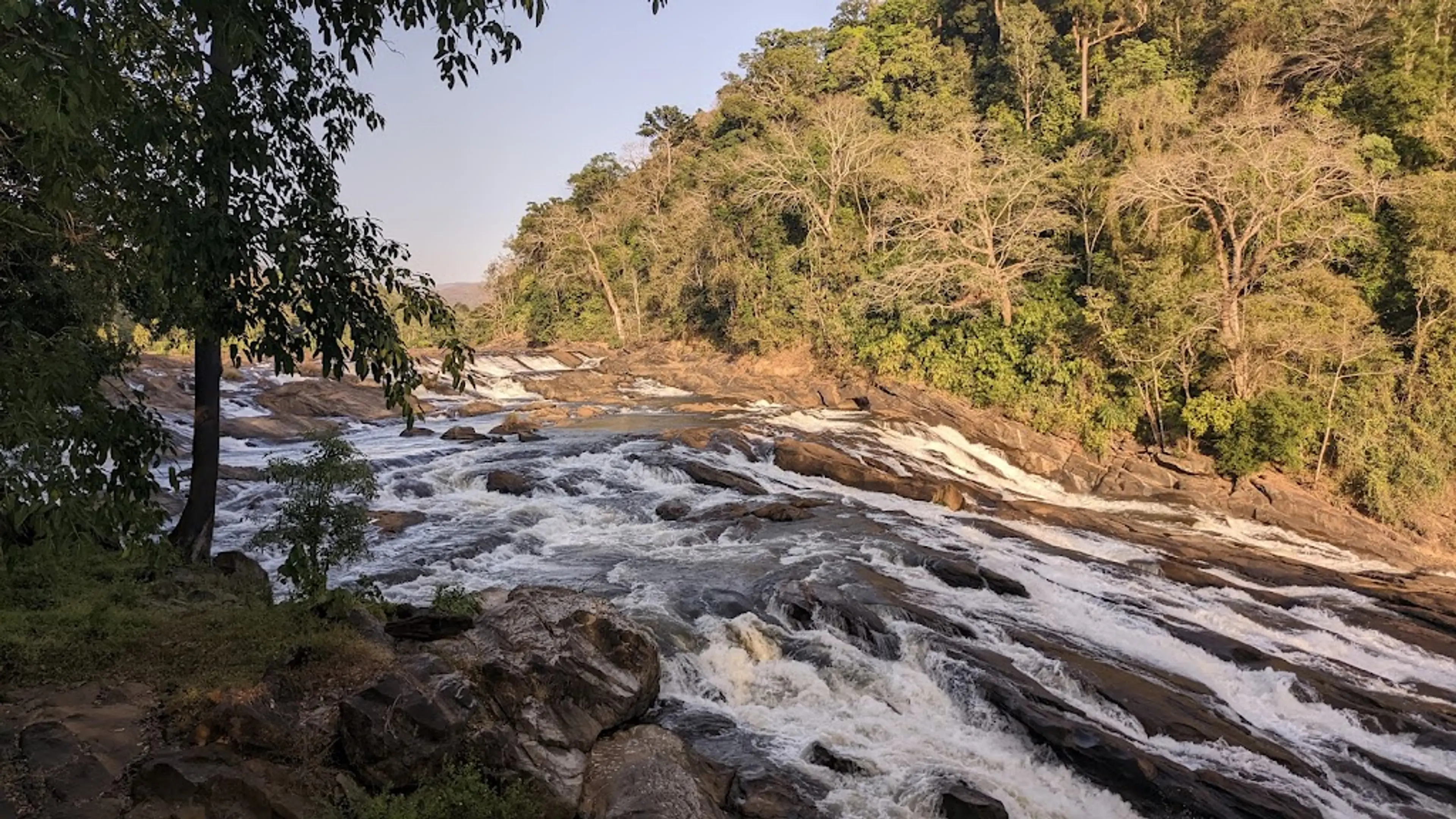 Vazhachal Forest Gardens