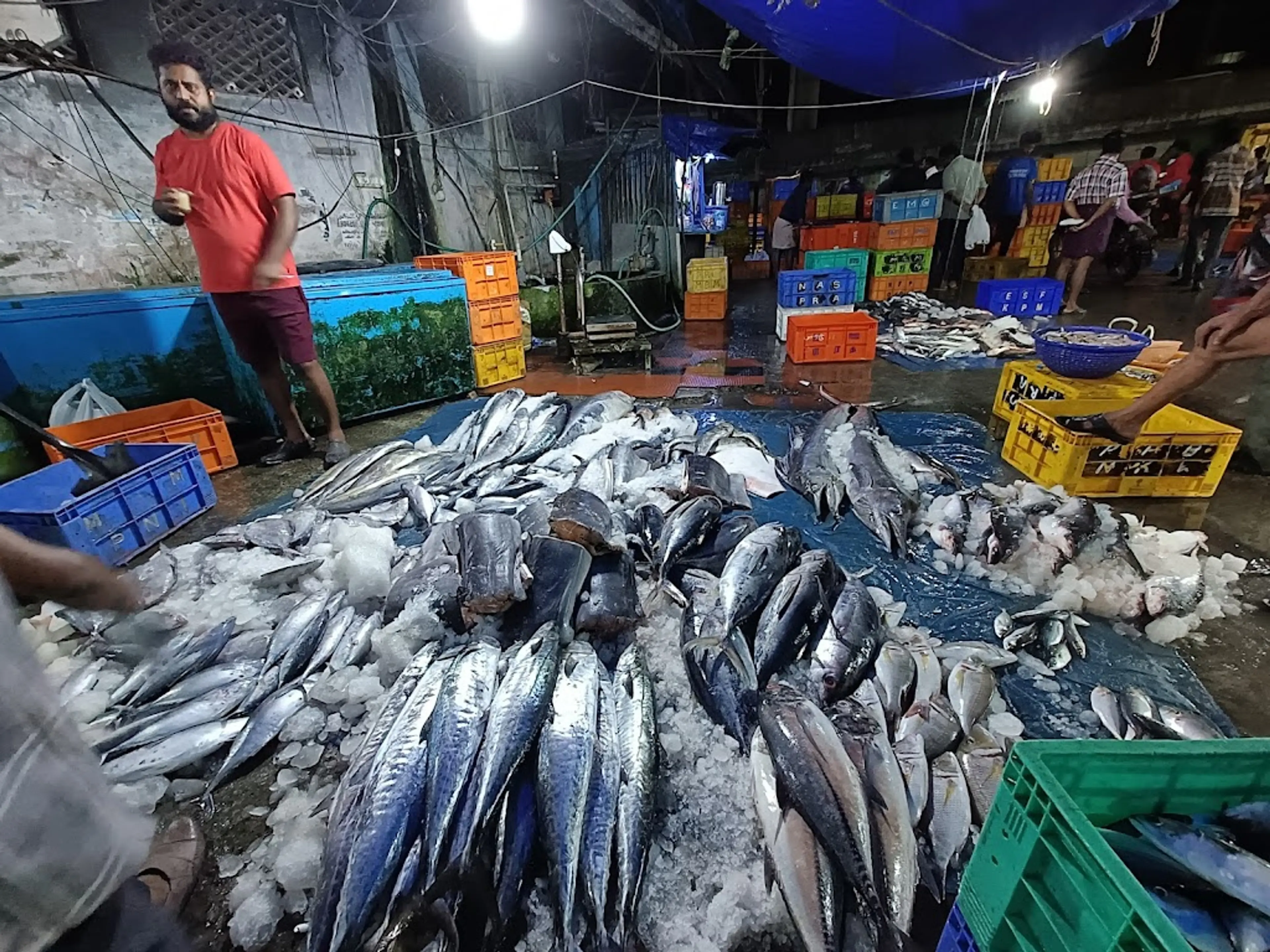 Local Fish Market