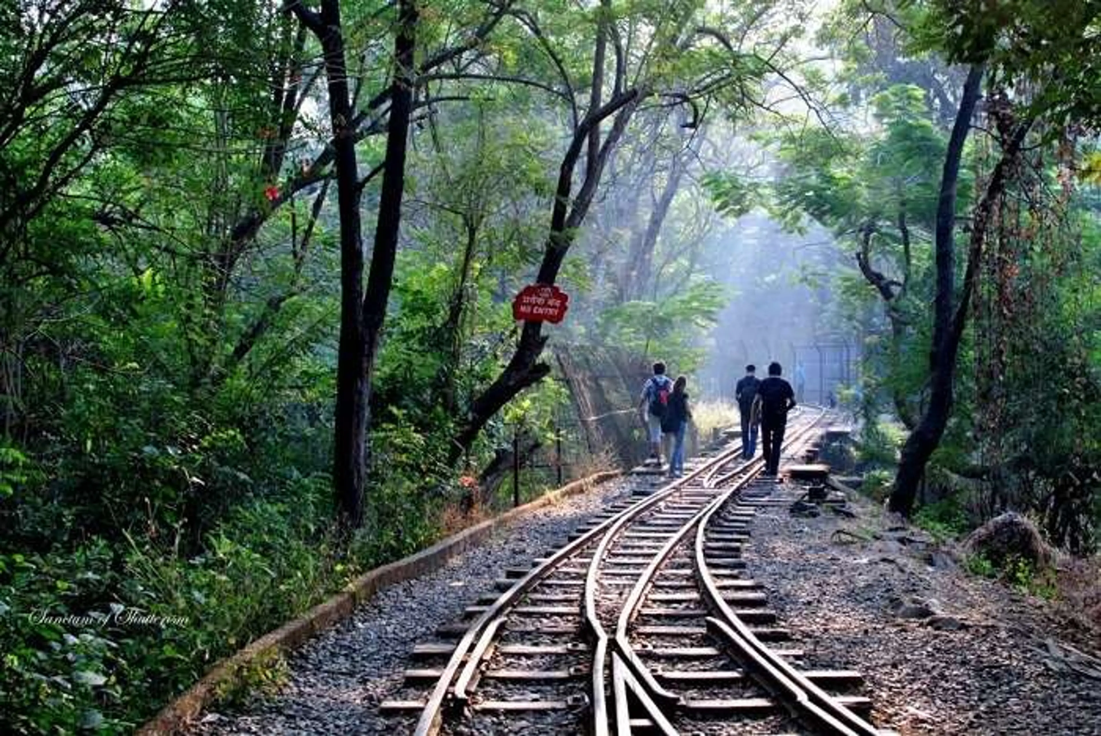 Sanjay Gandhi National Park