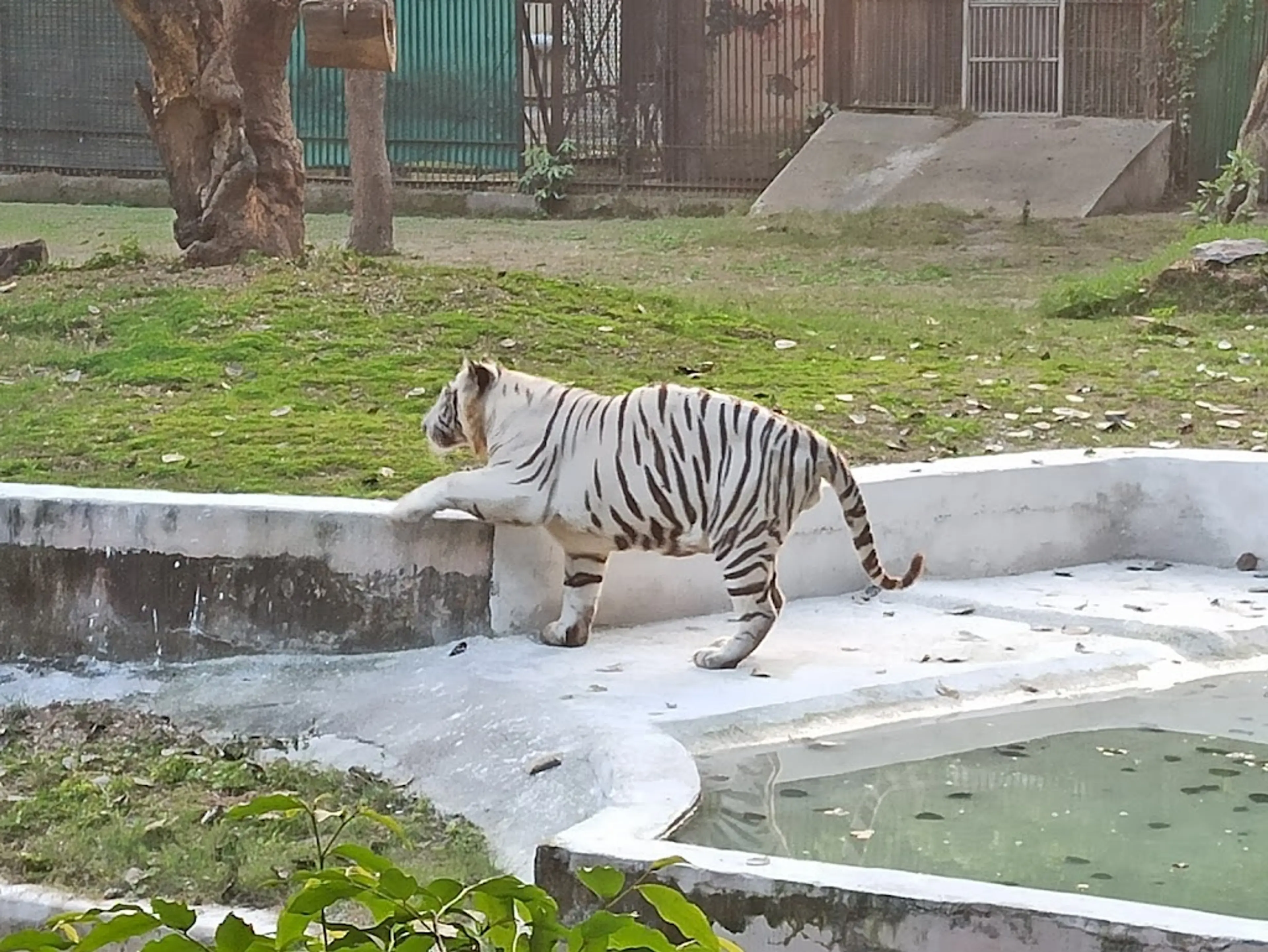 National Zoological Park