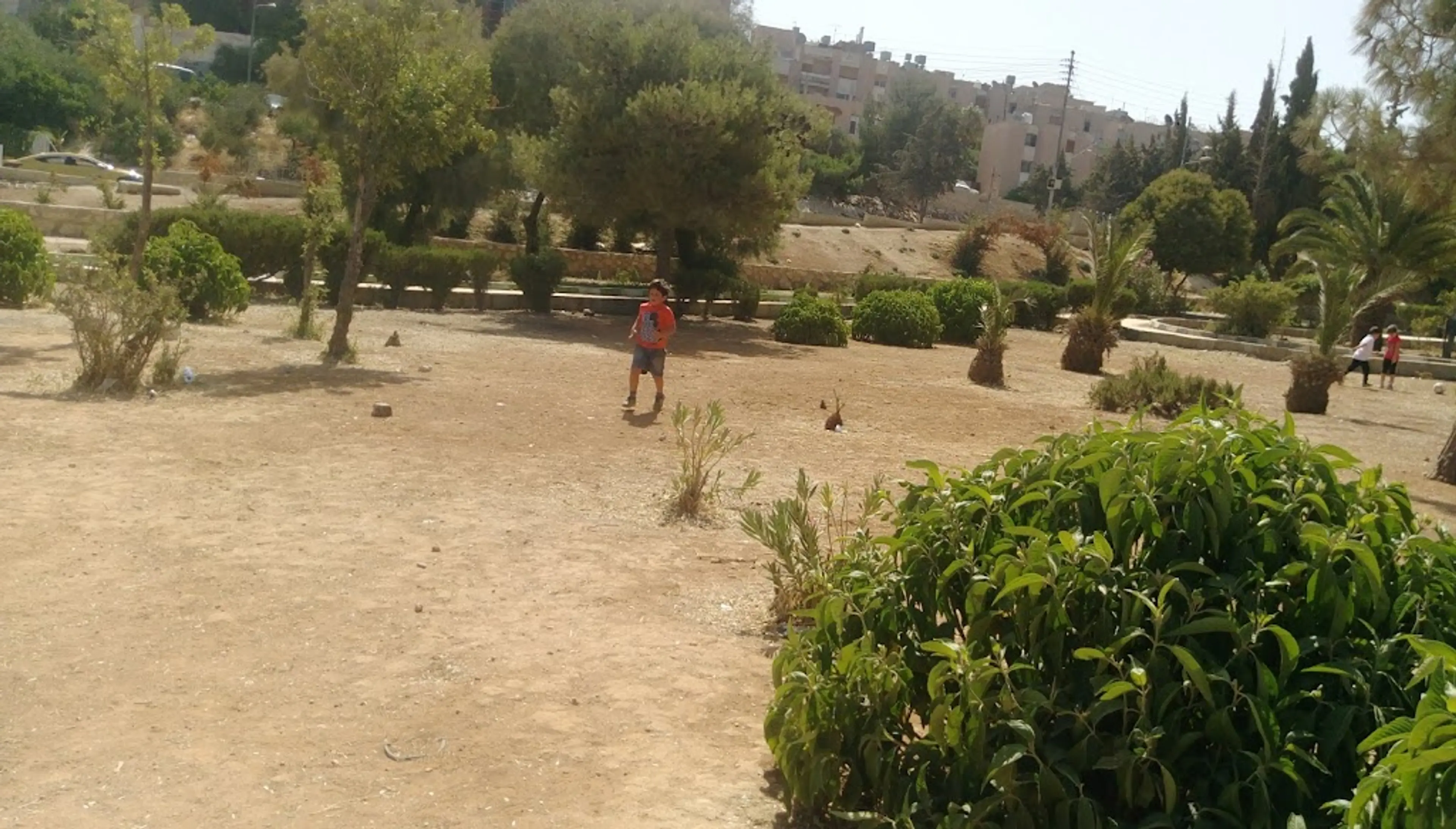 King Hussein Park