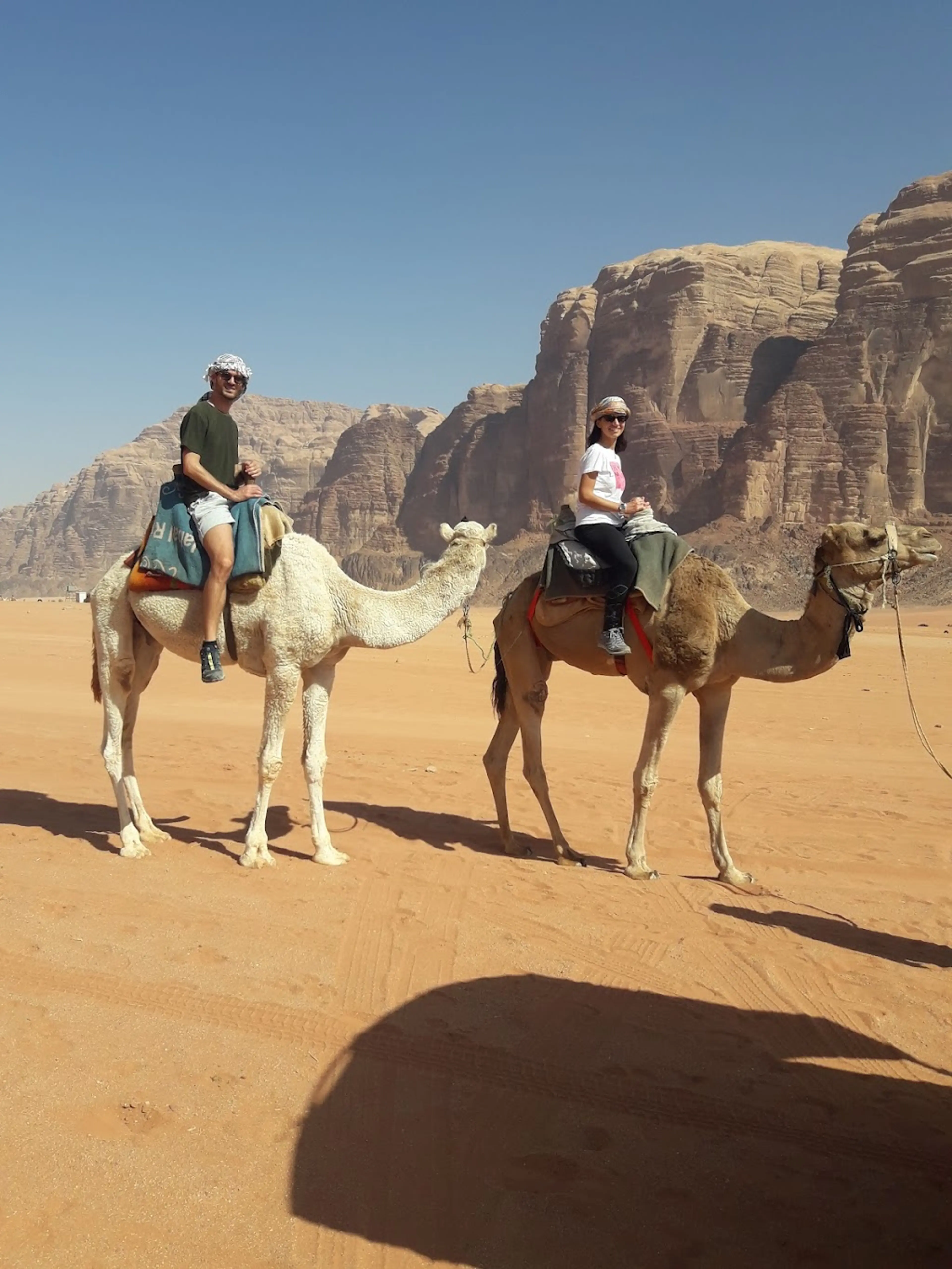 Camel ride