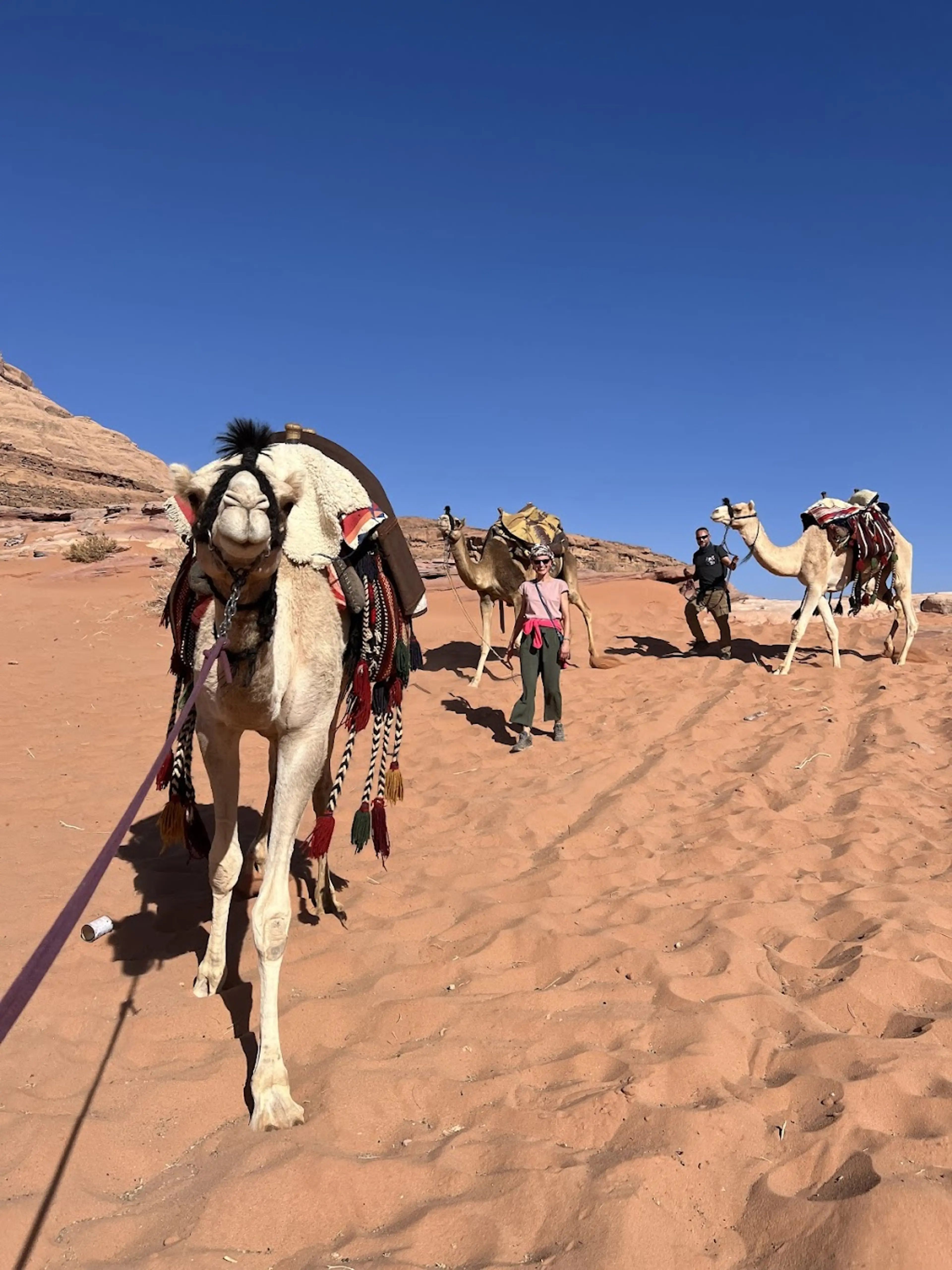 Camel ride adventure