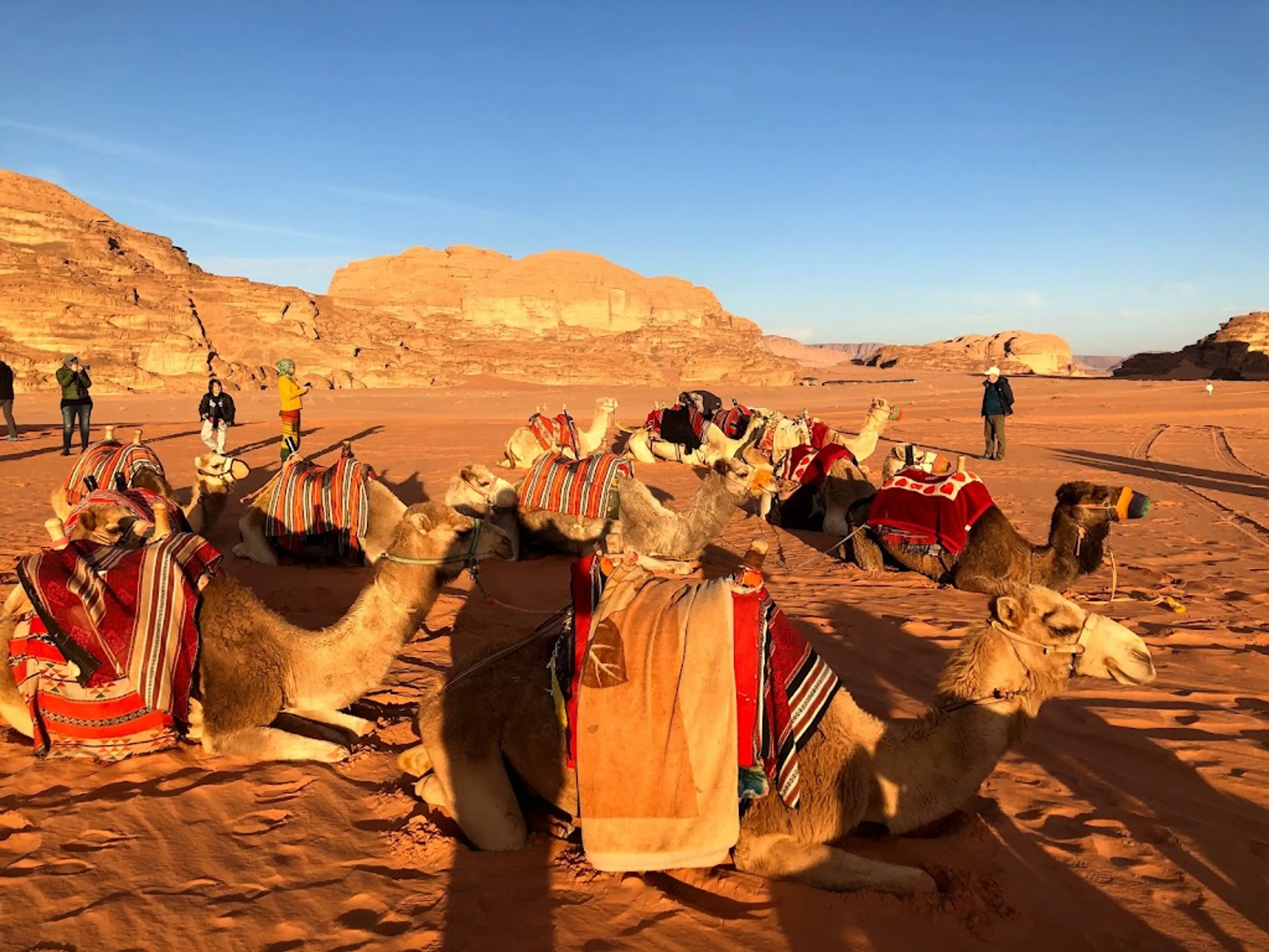 Night walk in the desert