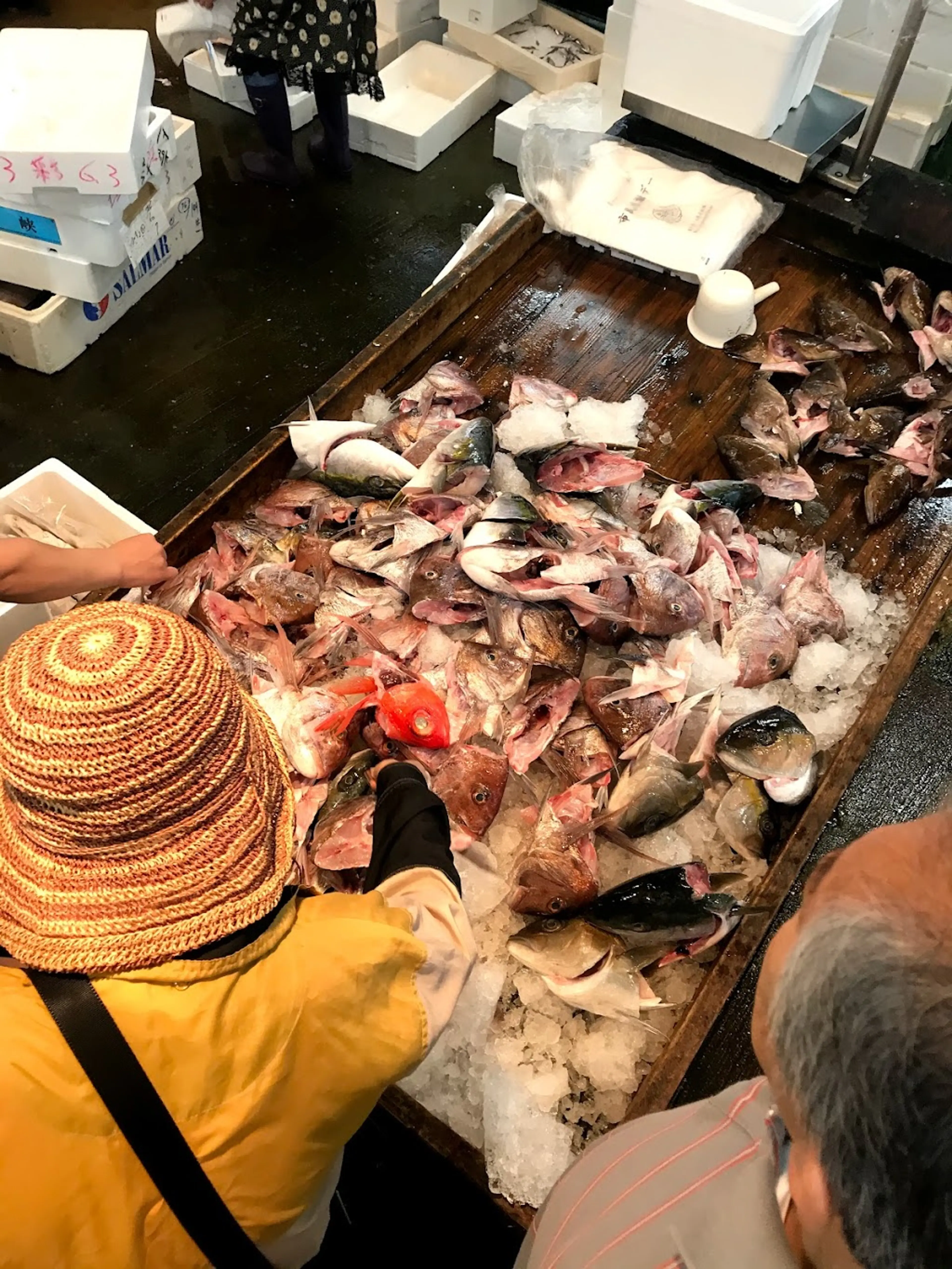 Fukuoka Fish Market