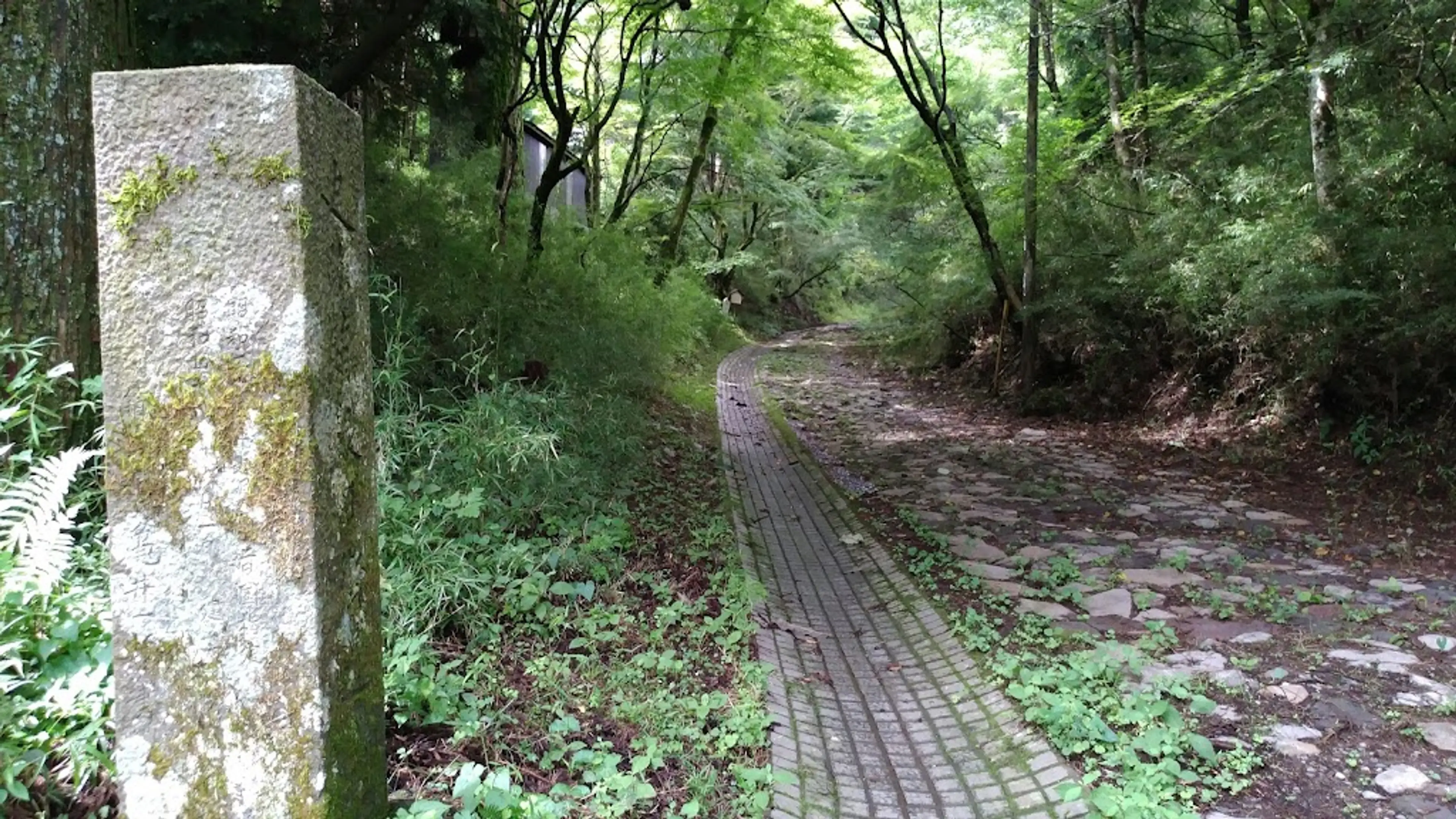 Hakone Old Tokaido Road