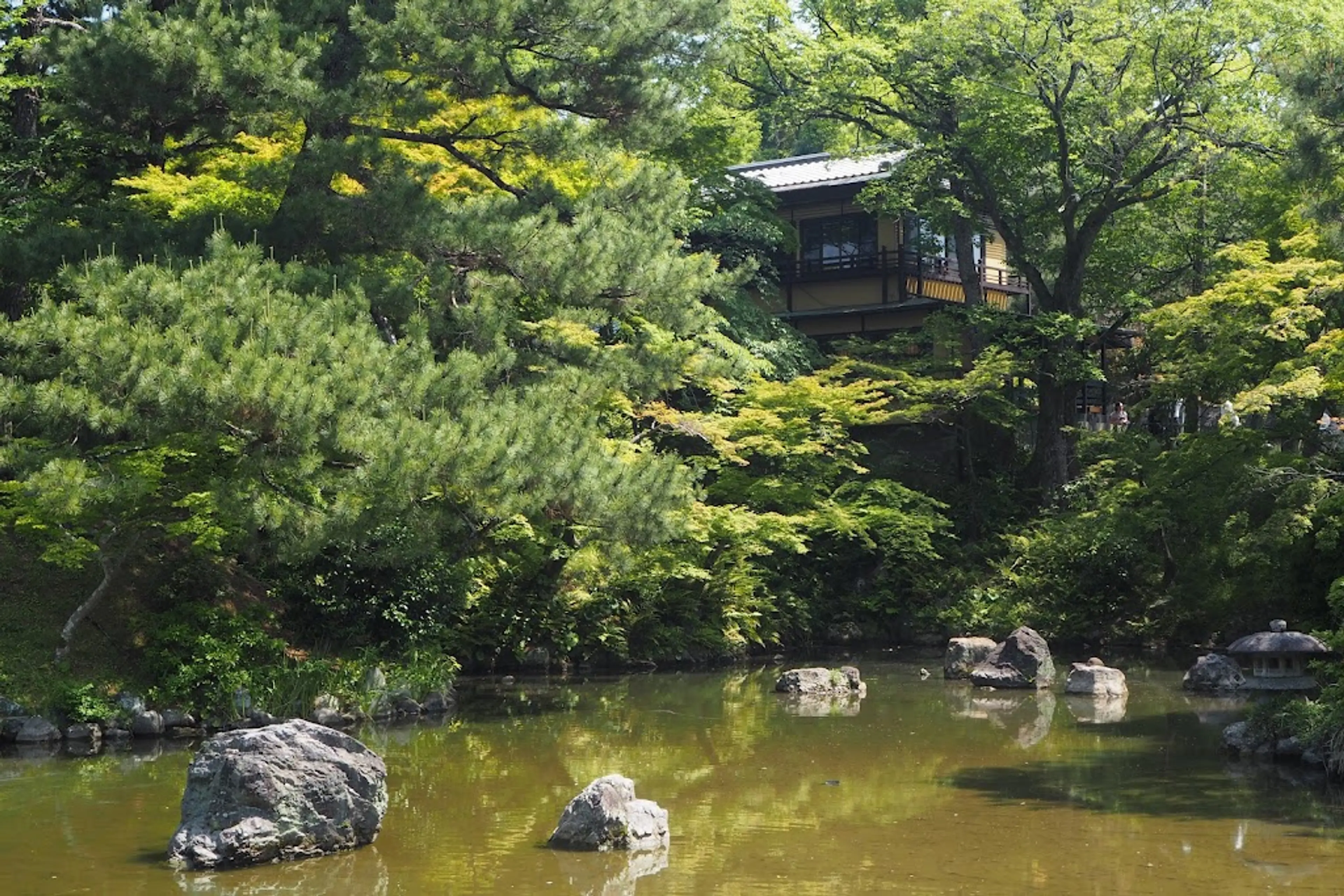 Traditional Japanese garden