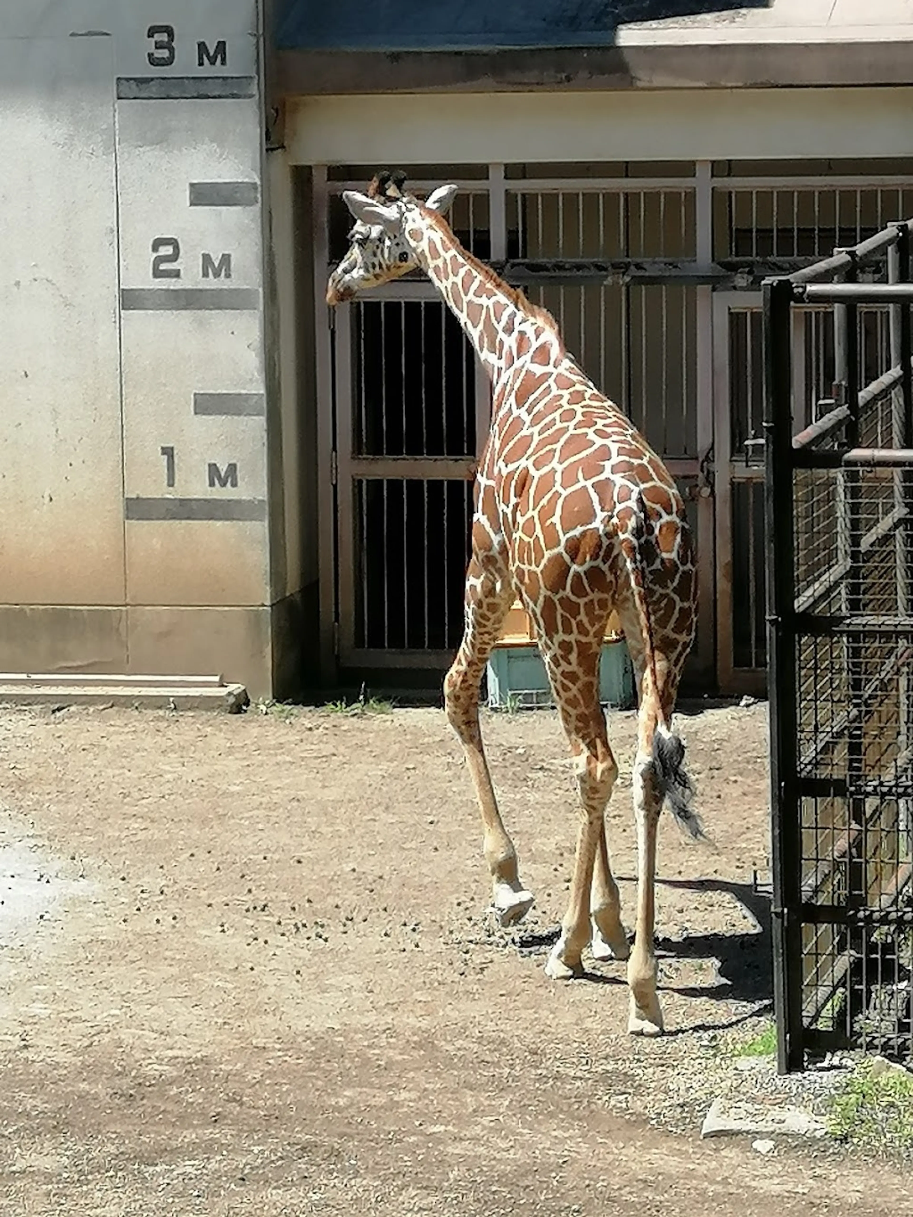 Morioka Zoo