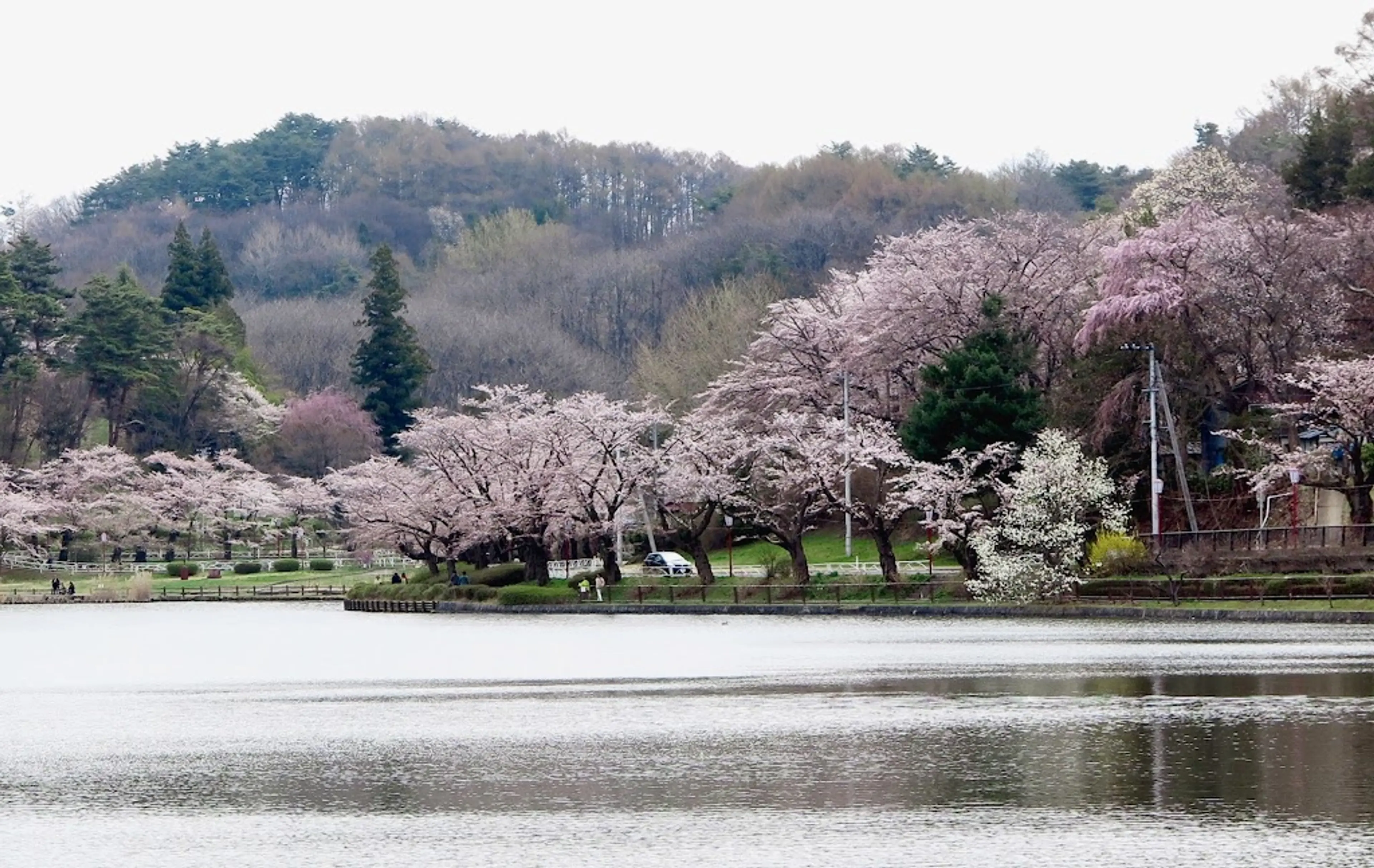 Tenshochi Park
