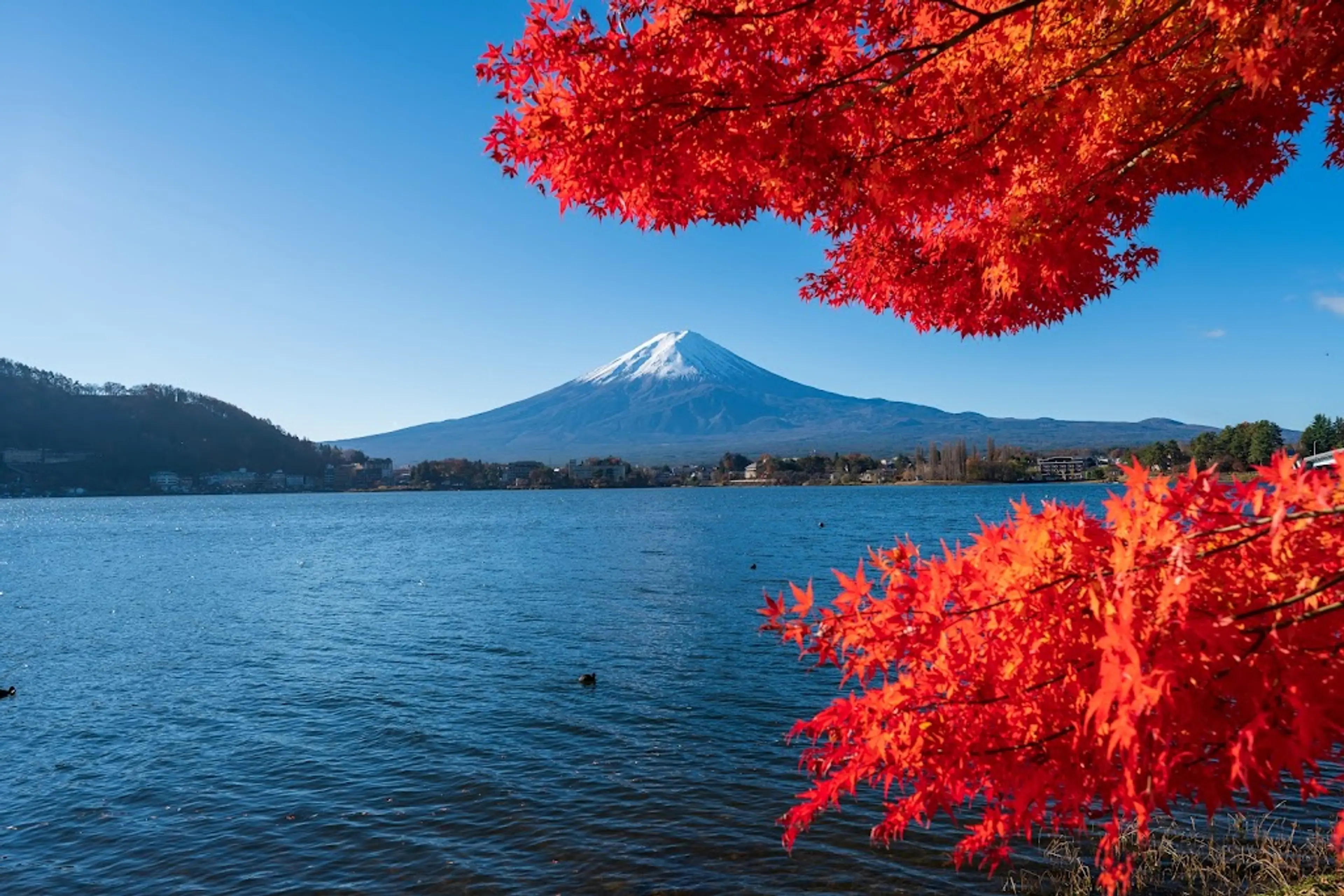 Kawaguchiko Lake