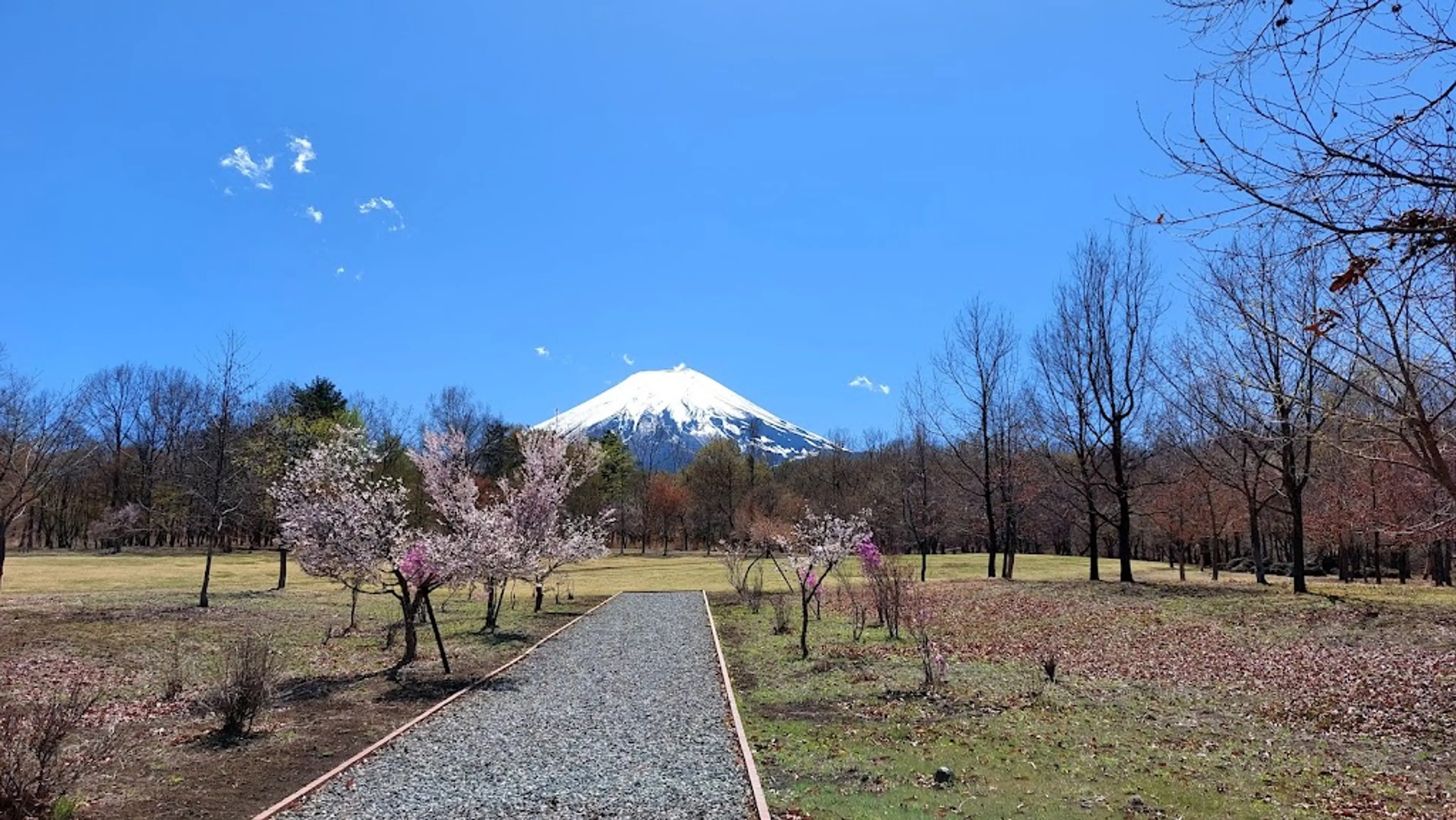 Picnic areas around Mount Fuji