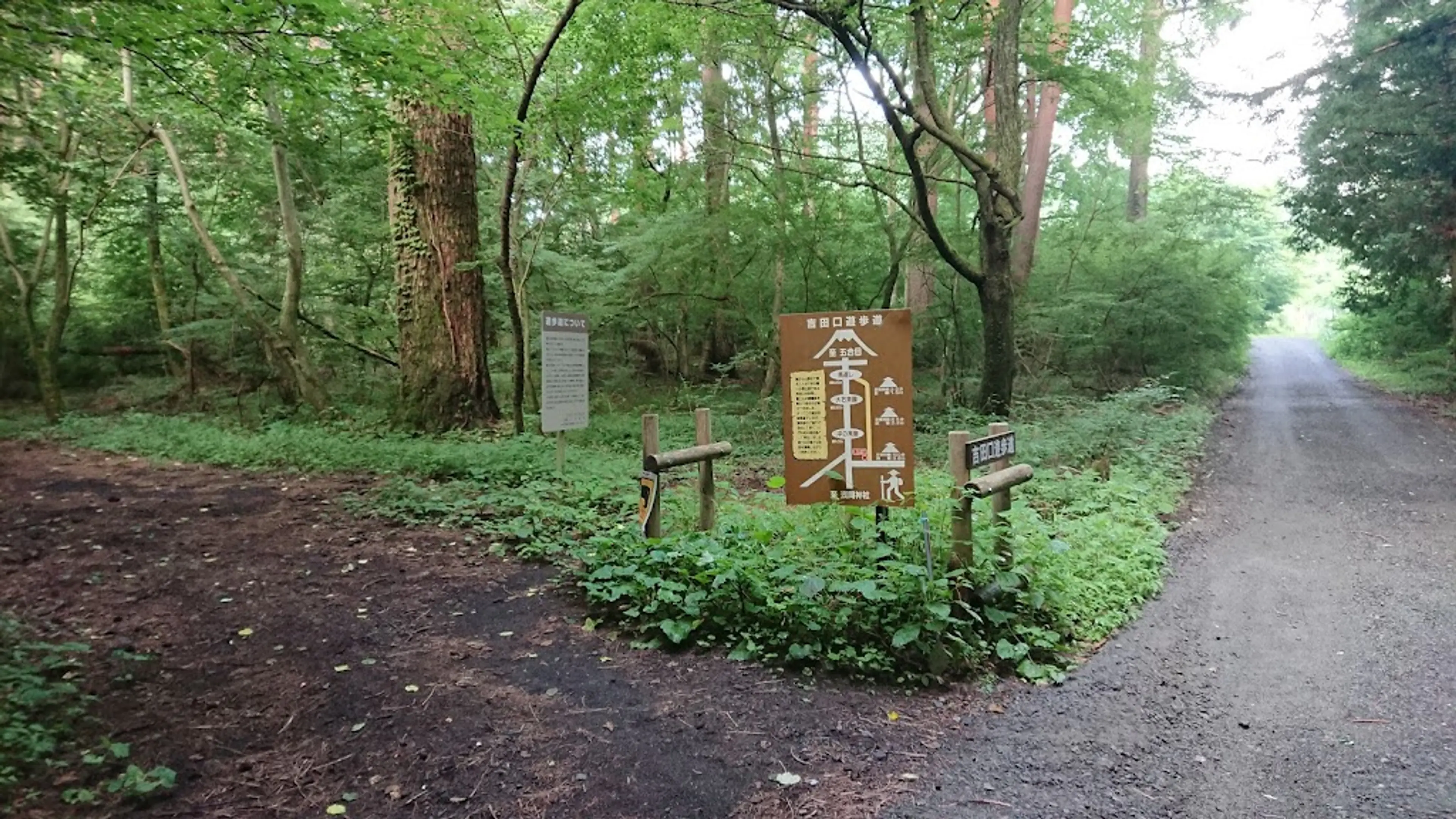 Yoshida Trail