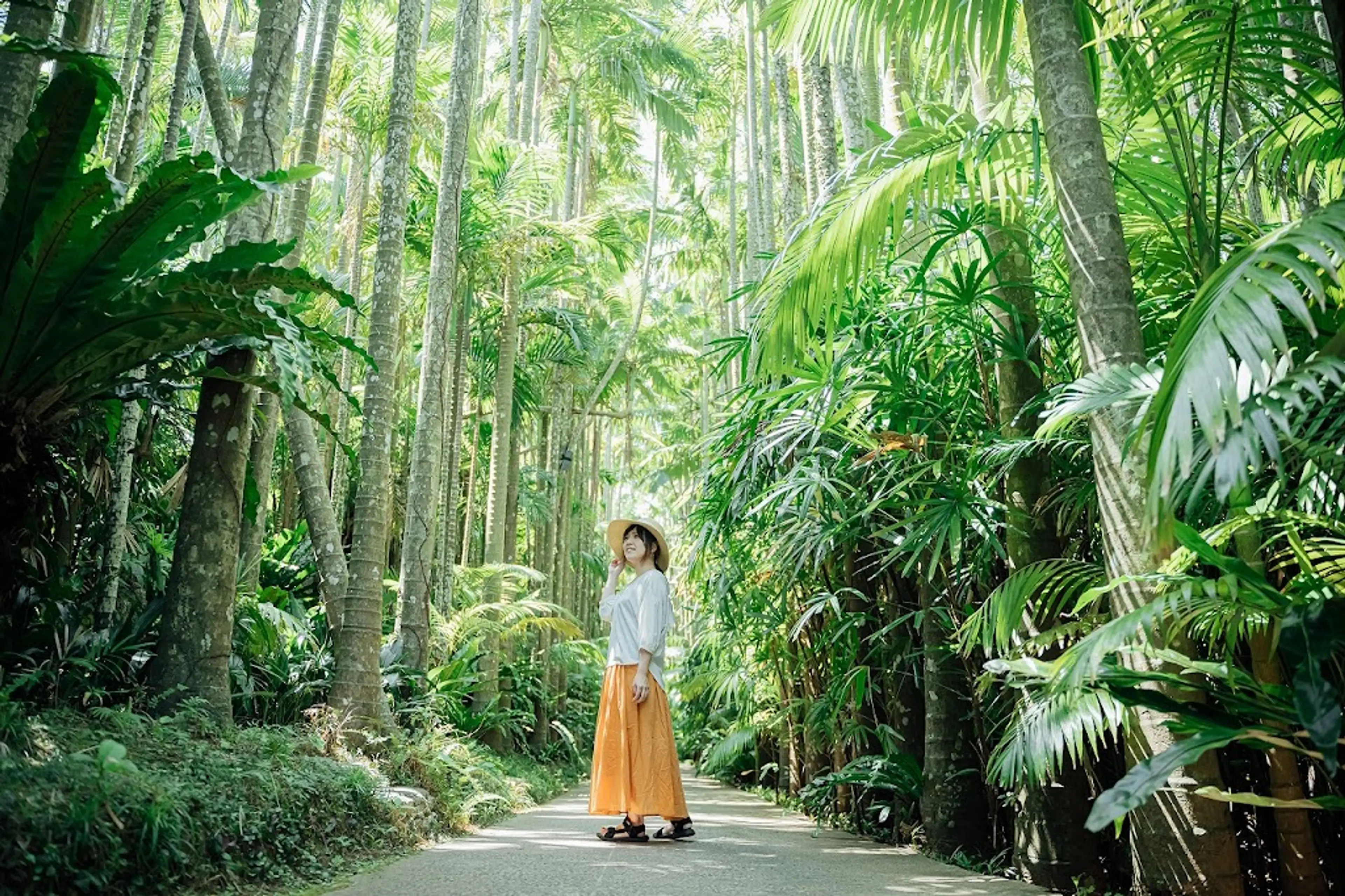 Native Okinawan Village