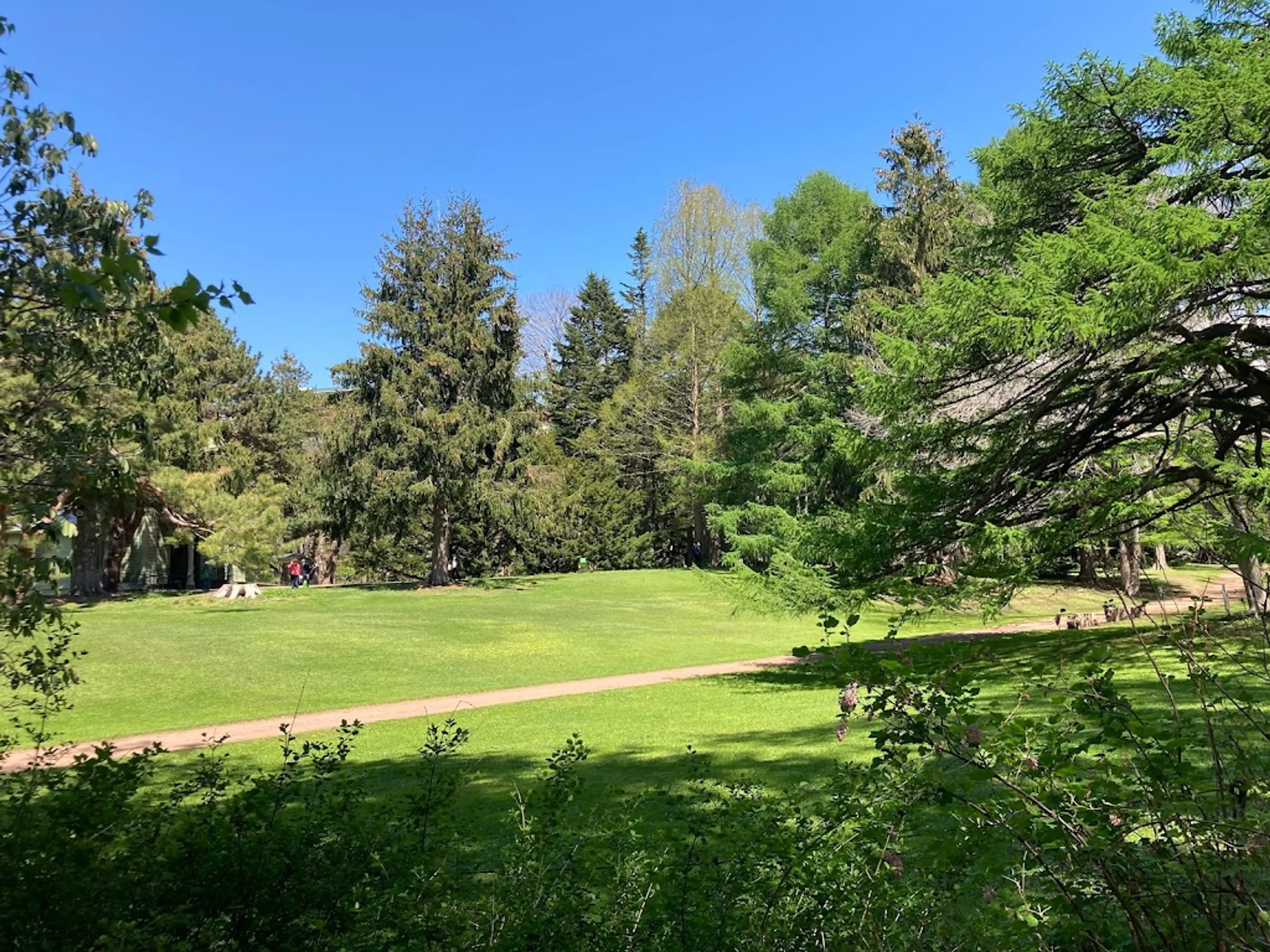 Hokkaido University Botanic Garden