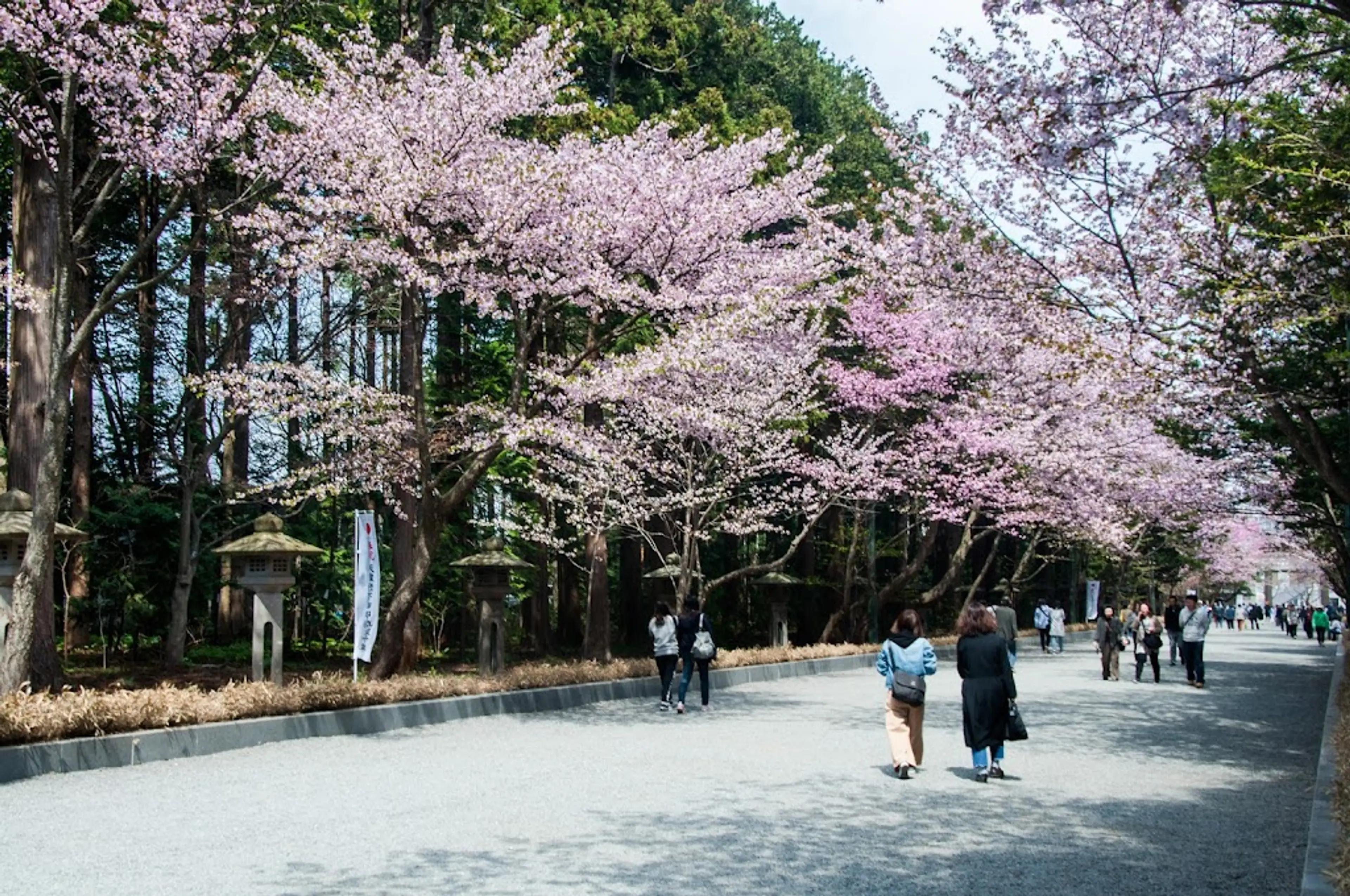 Maruyama Park