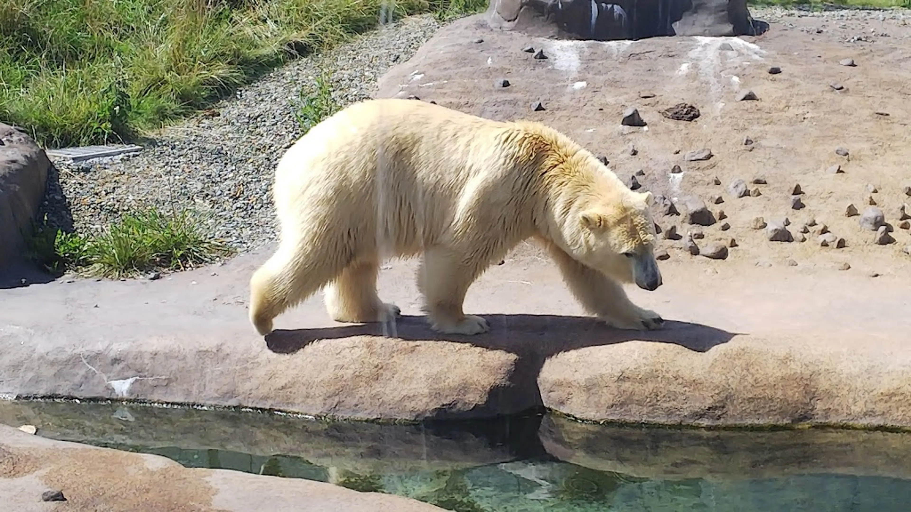 Maruyama Zoo and Park