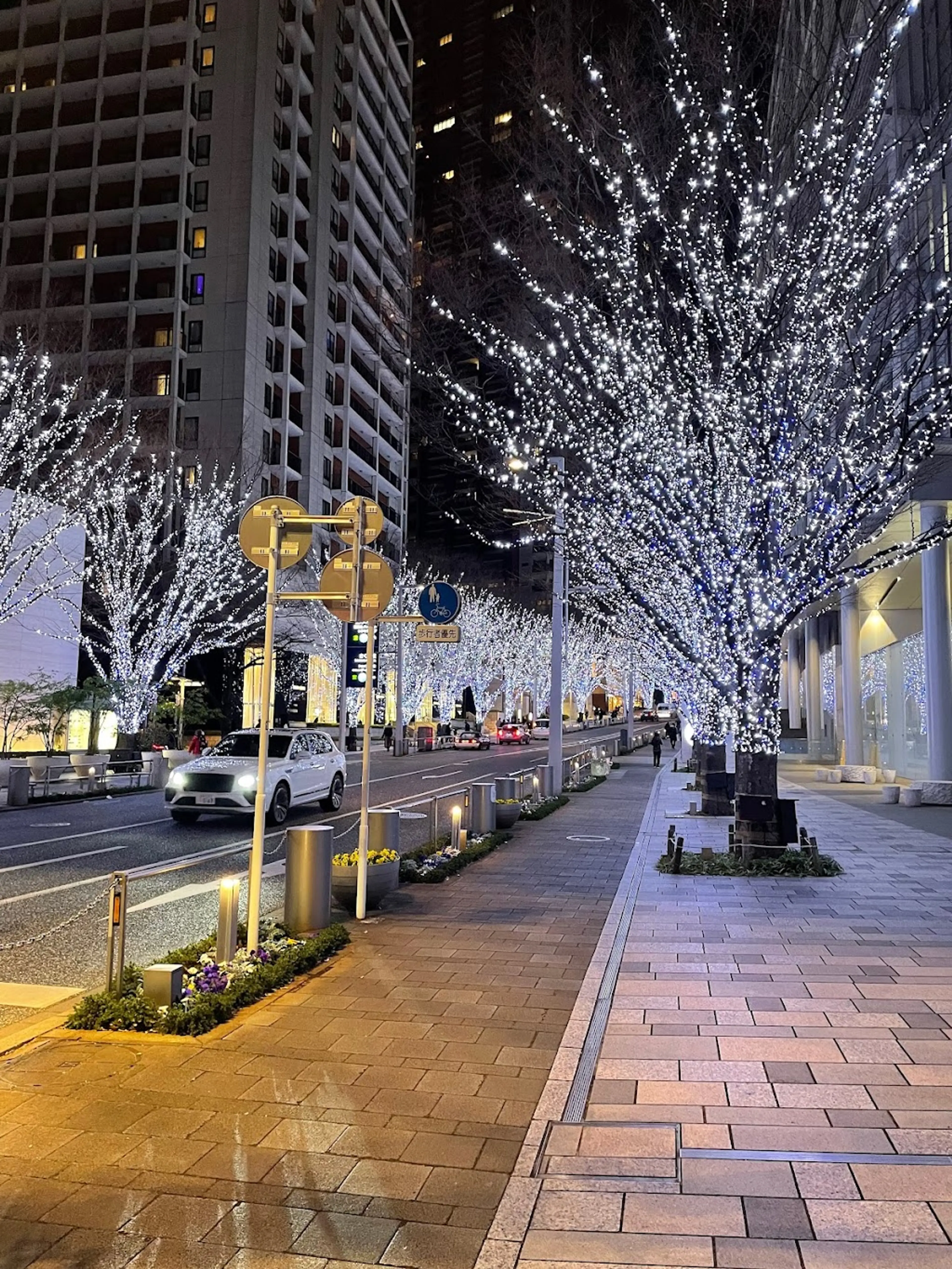 Roppongi Entertainment District