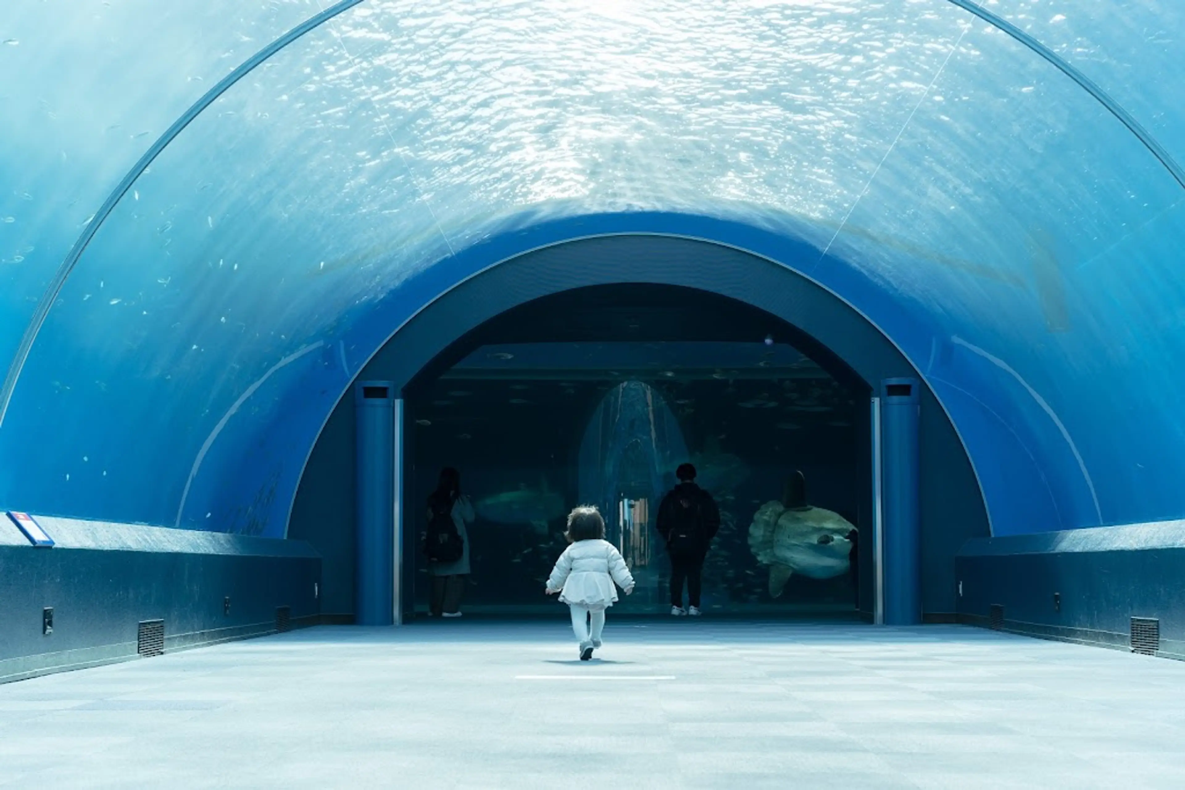 Hakkeijima Sea Paradise