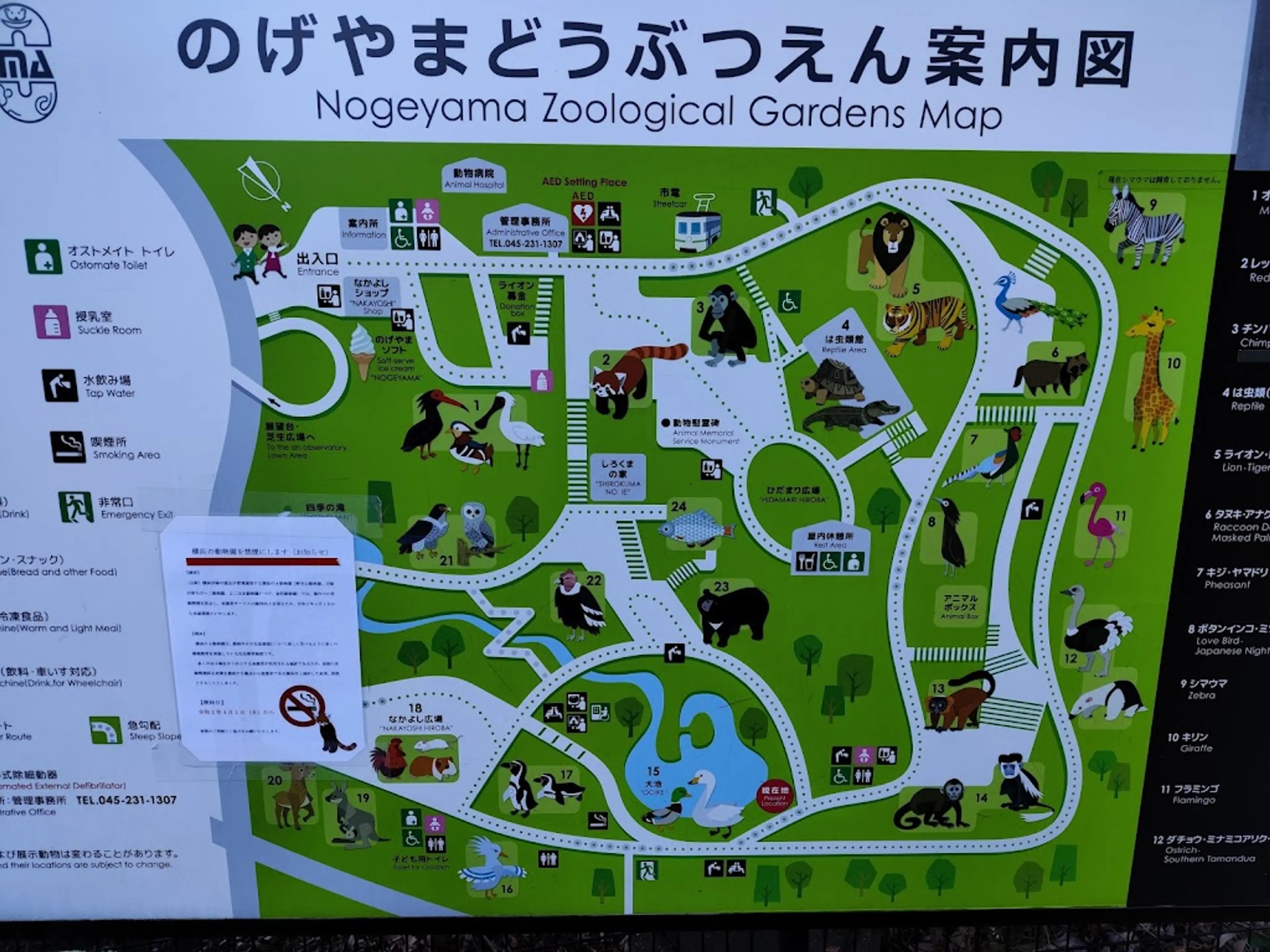 Nogeyama Zoo