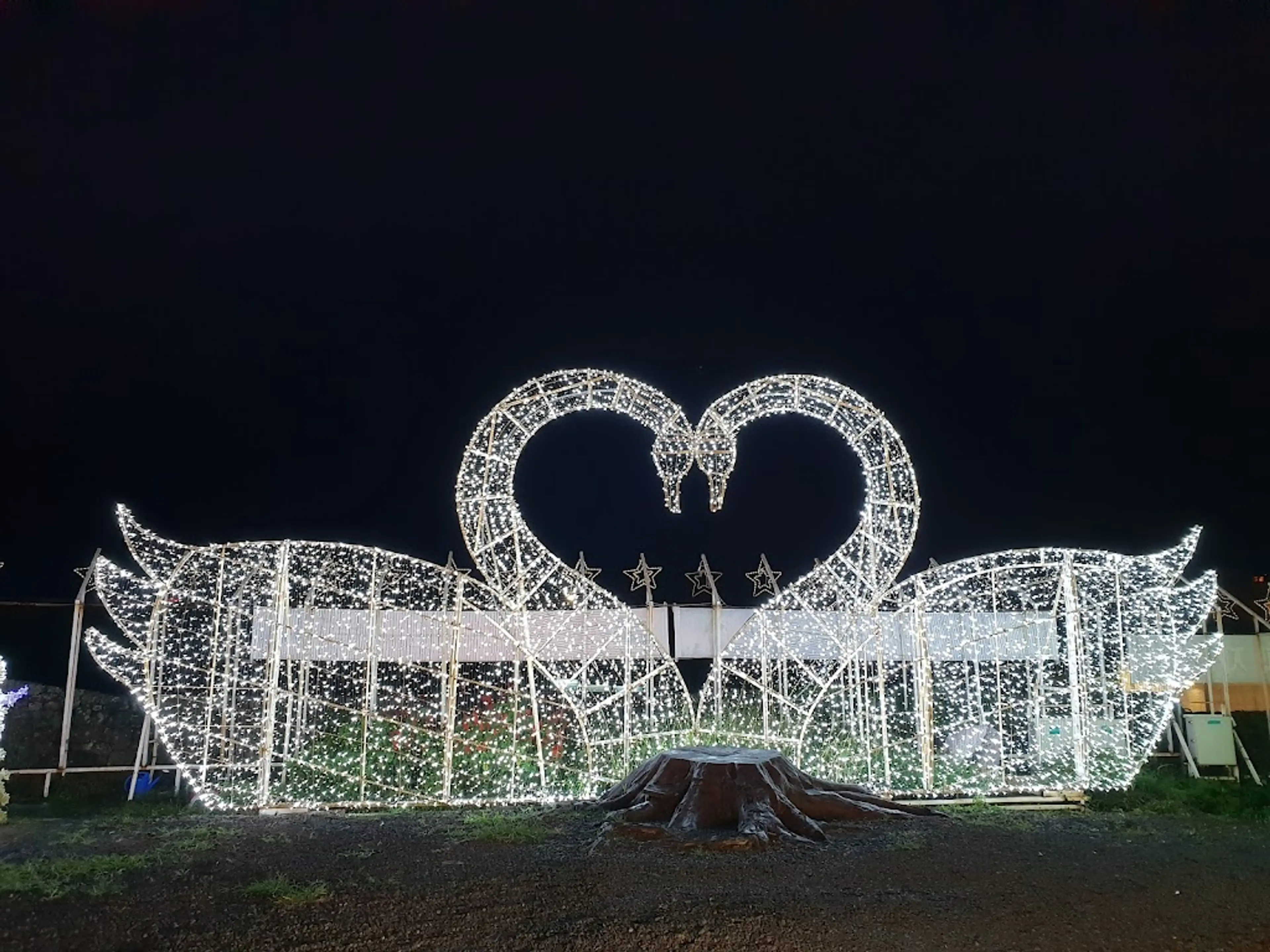 Jeju Light Garden