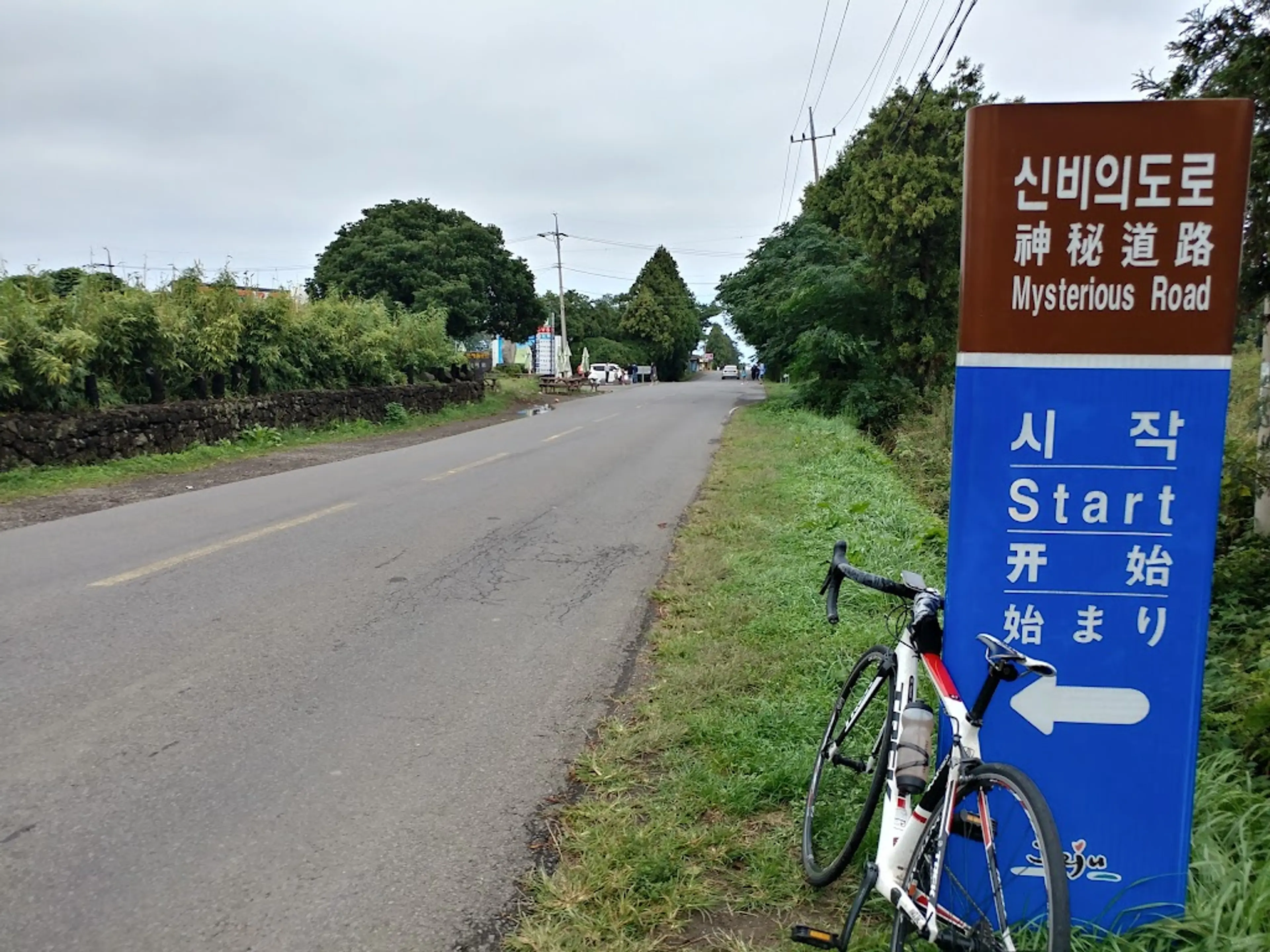 Jeju Mysterious Road