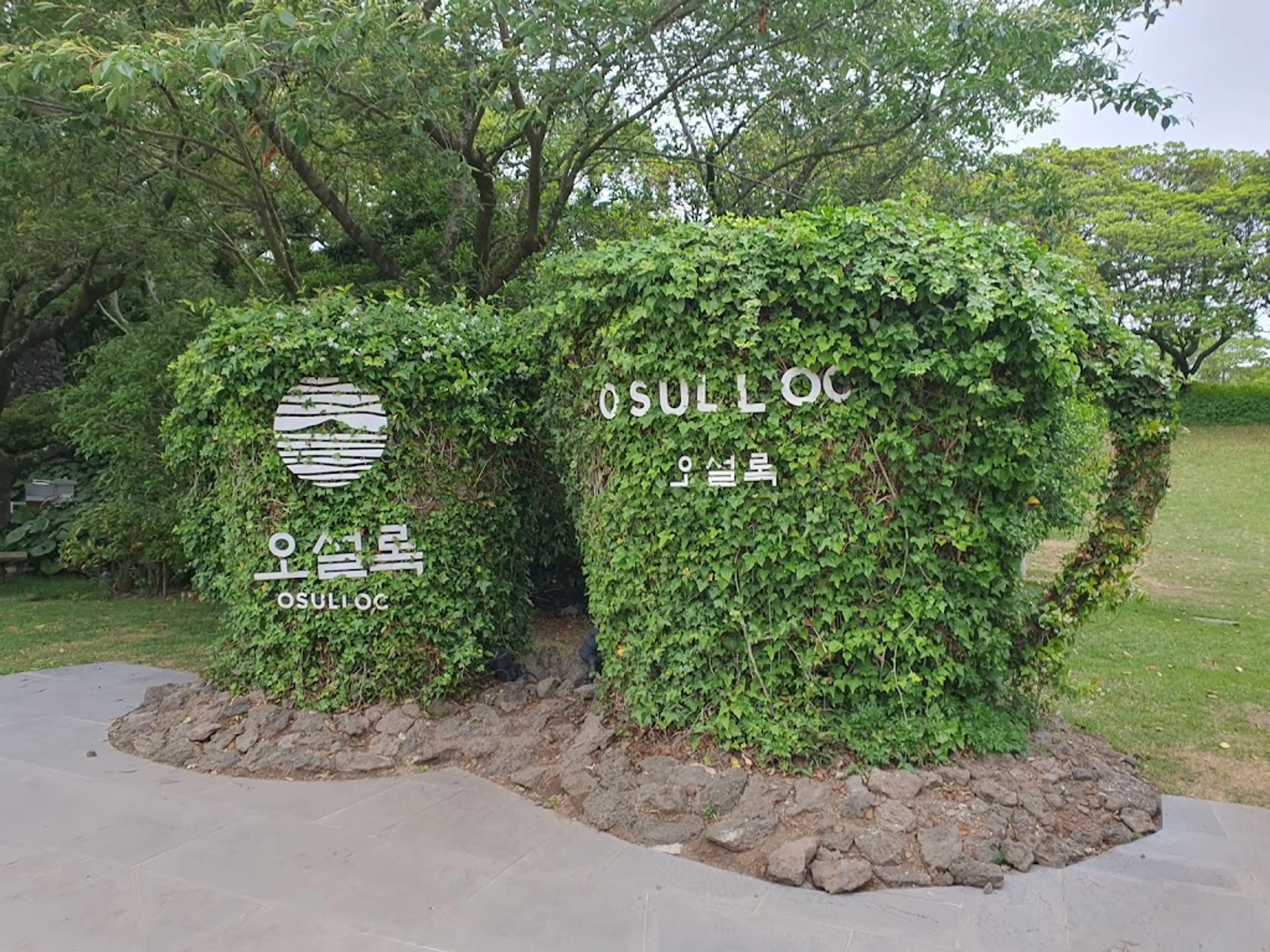 O’sulloc Tea Museum