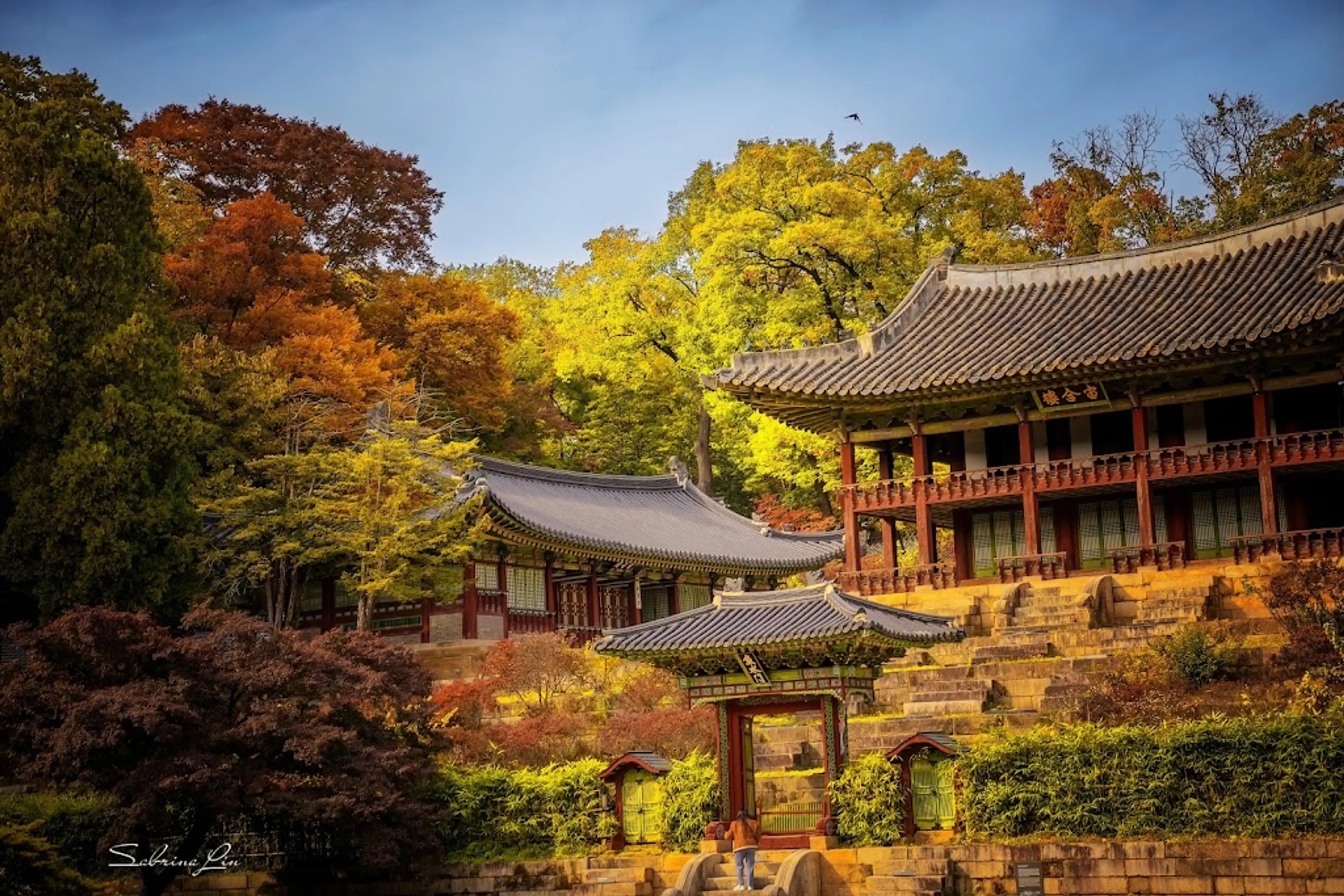 Changdeokgung Palace and its Secret Garden