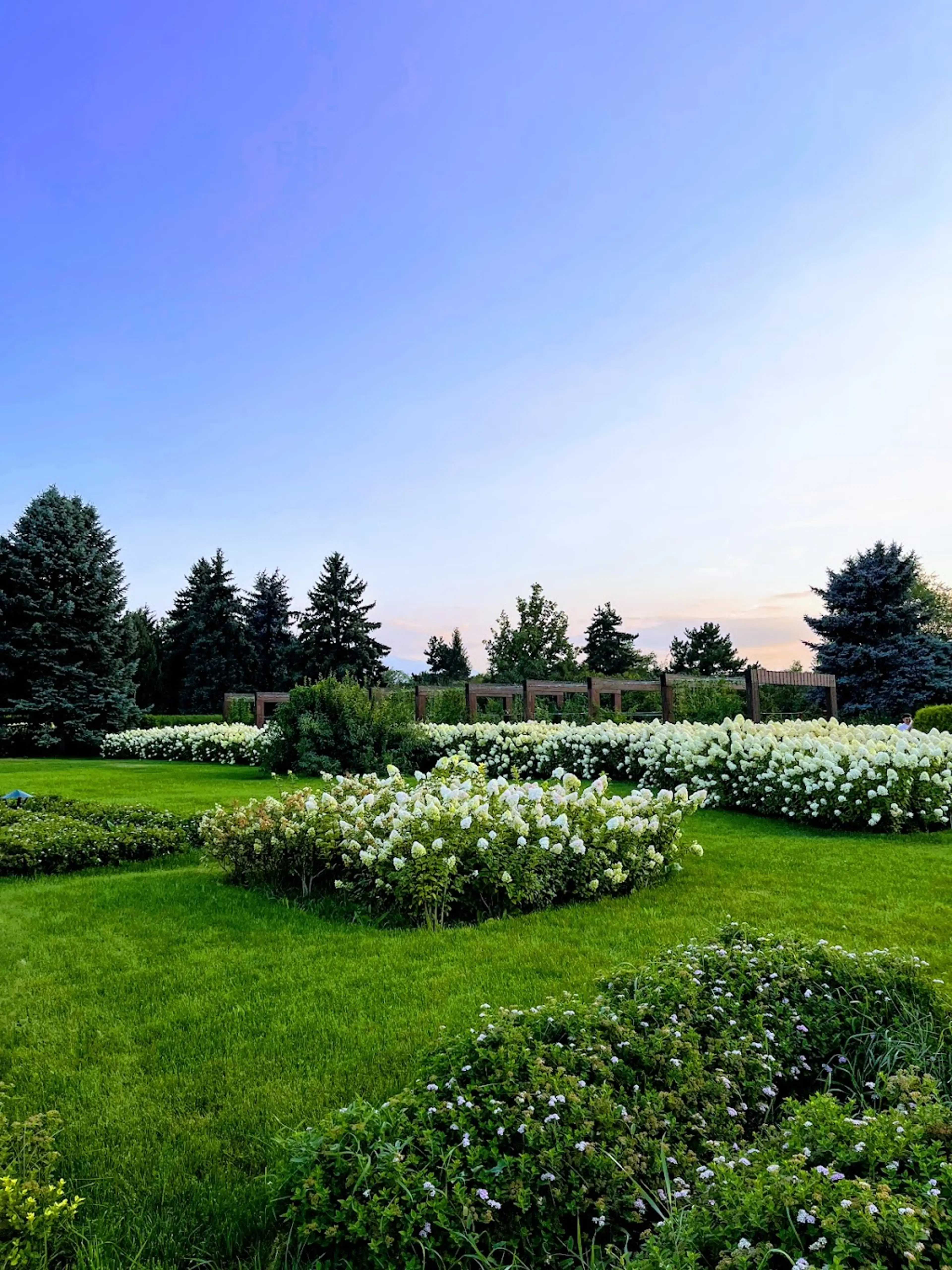 Almaty Garden
