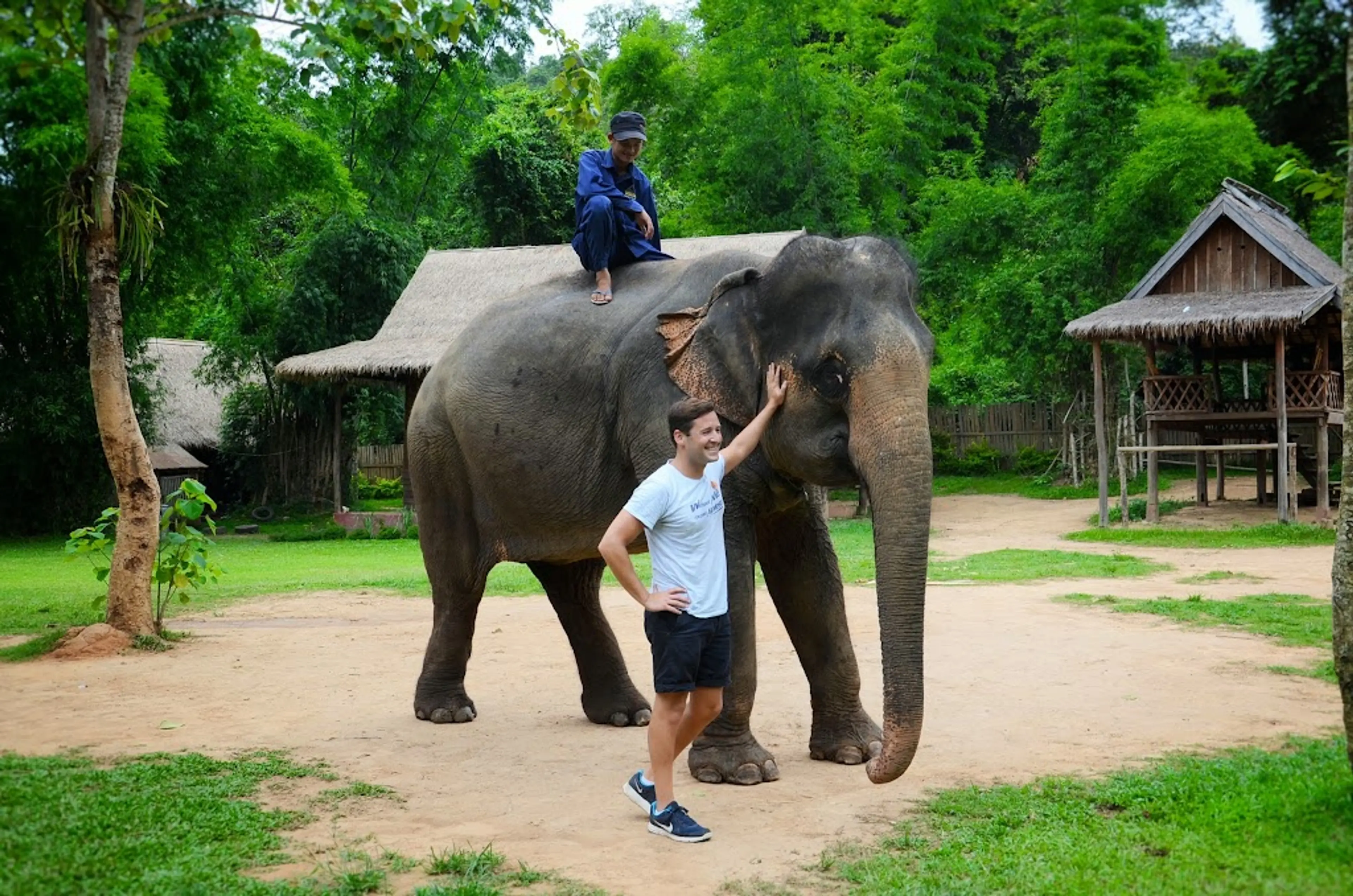 Elephant Village Sanctuary