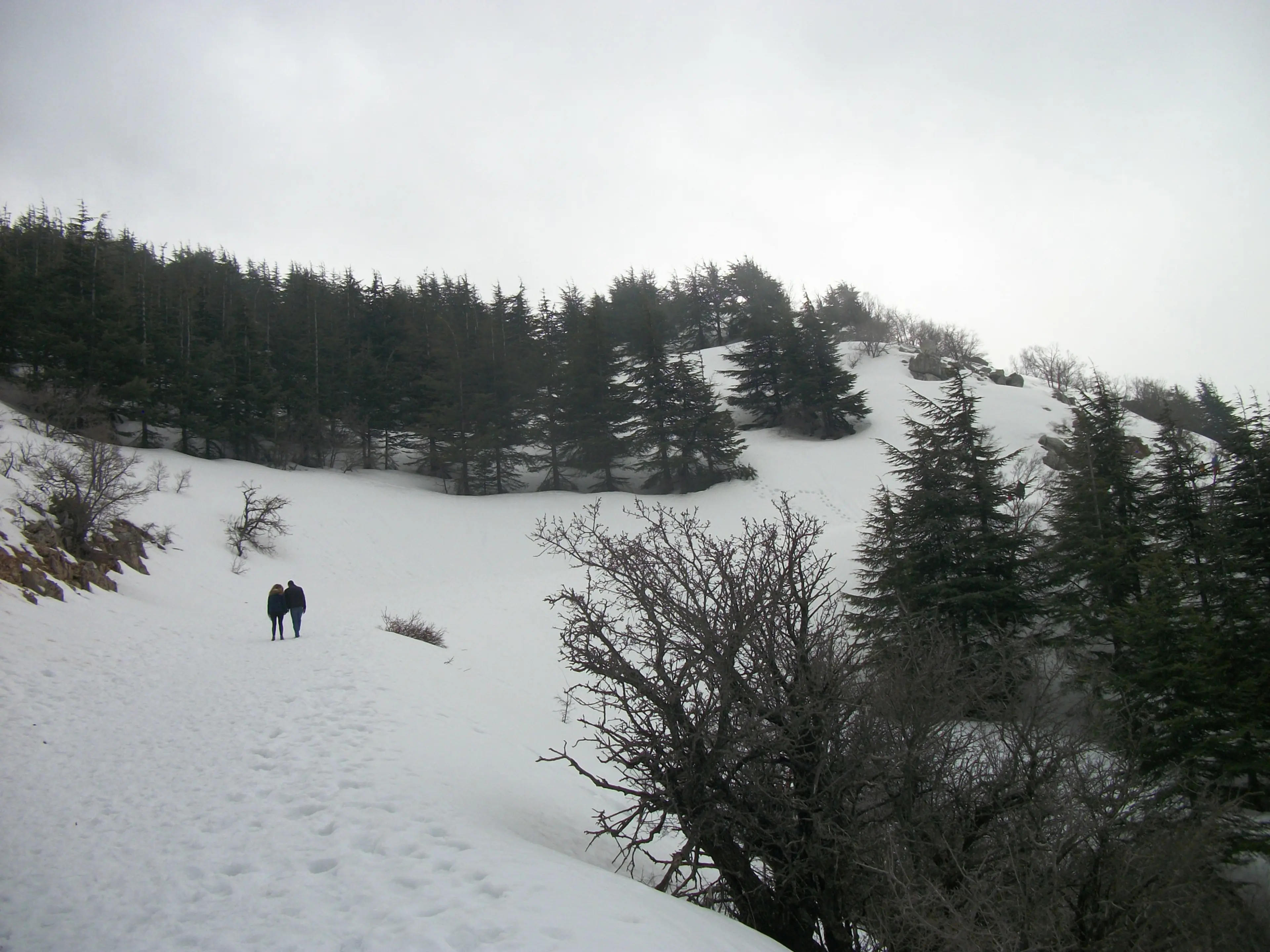 Chouf Mountains