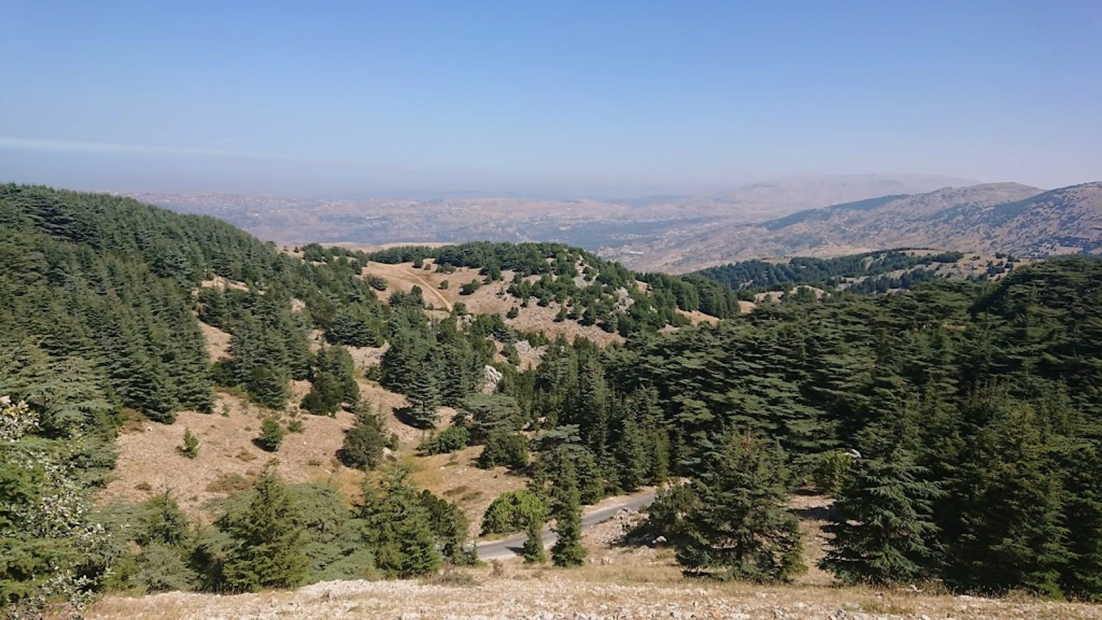 Chouf Cedar Reserve