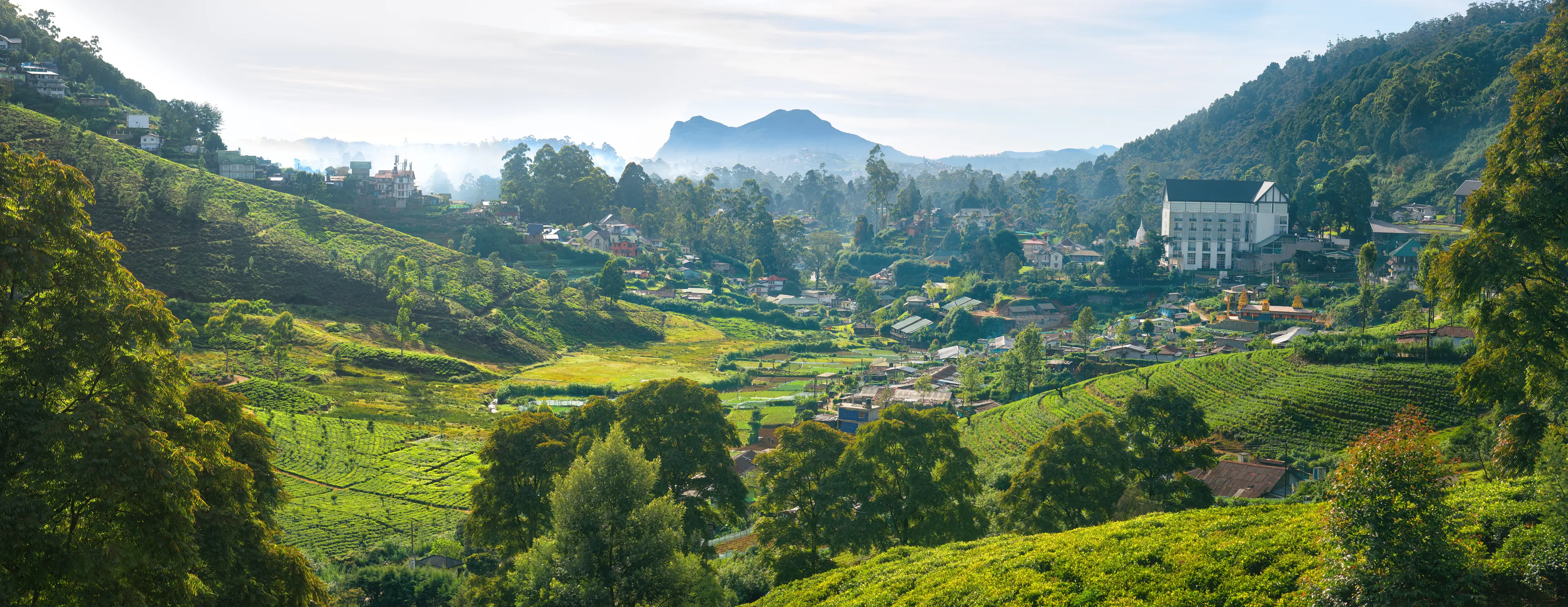 Nuwara Eliya
