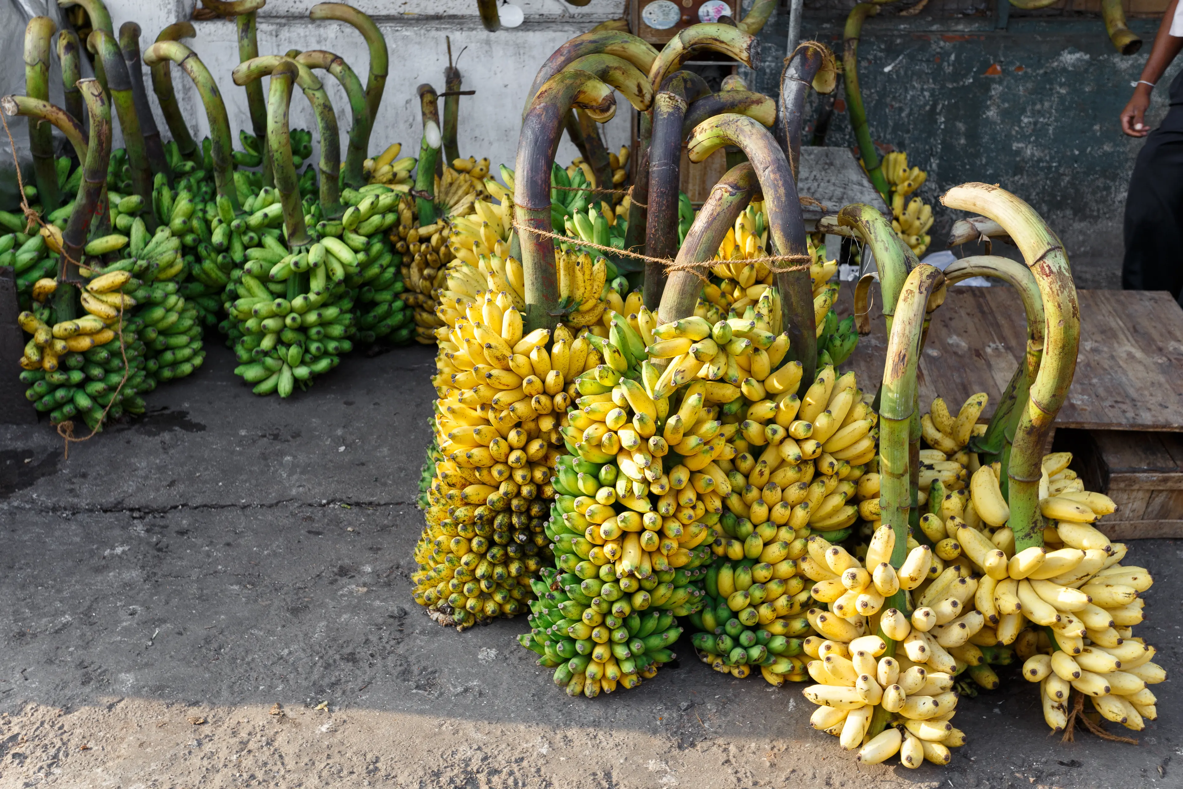 Pettah Market